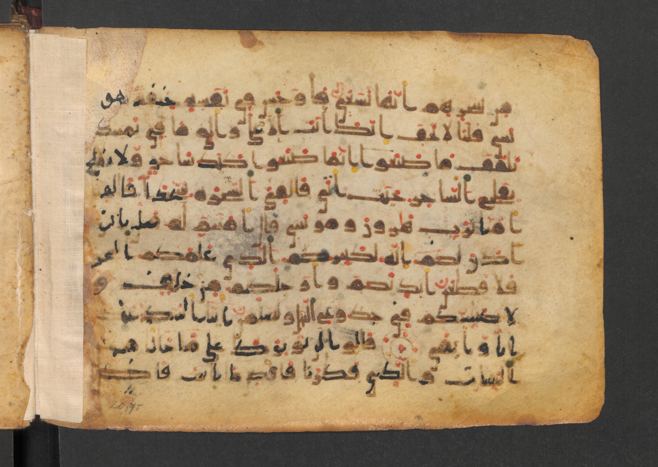 Codex Petermann I 38, in kūfī D.Vb script, showing Surah 20:71 from Mid-8th to Late 10th Century AD found in Unknown, currently housed at Staatsbibliothek zu Berlin, Berlin