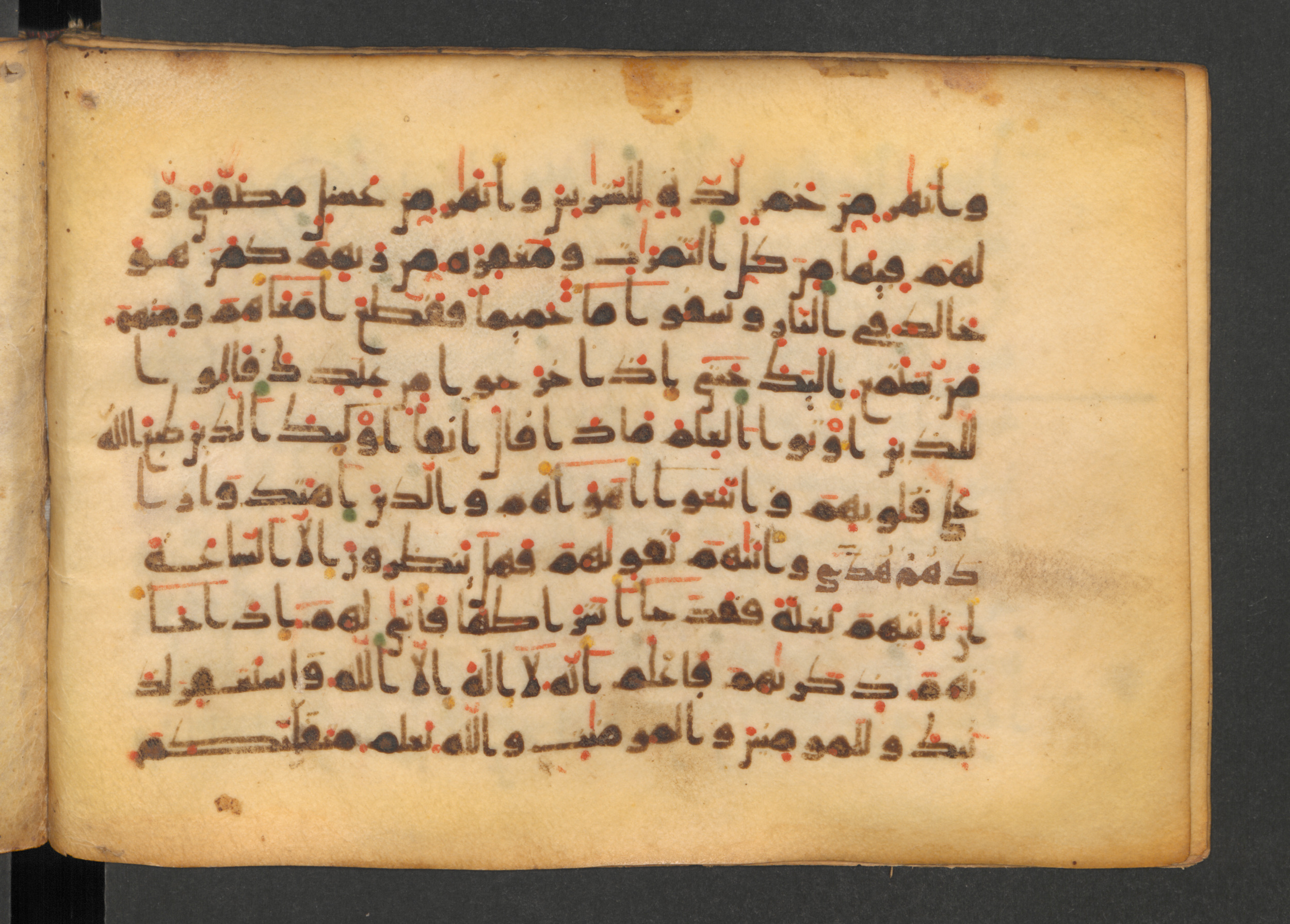 Codex Petermann I 38, in kūfī D.Vb script, showing Surah 47:16 from Mid-8th to Late 10th Century AD found in Unknown, currently housed at Staatsbibliothek zu Berlin, Berlin