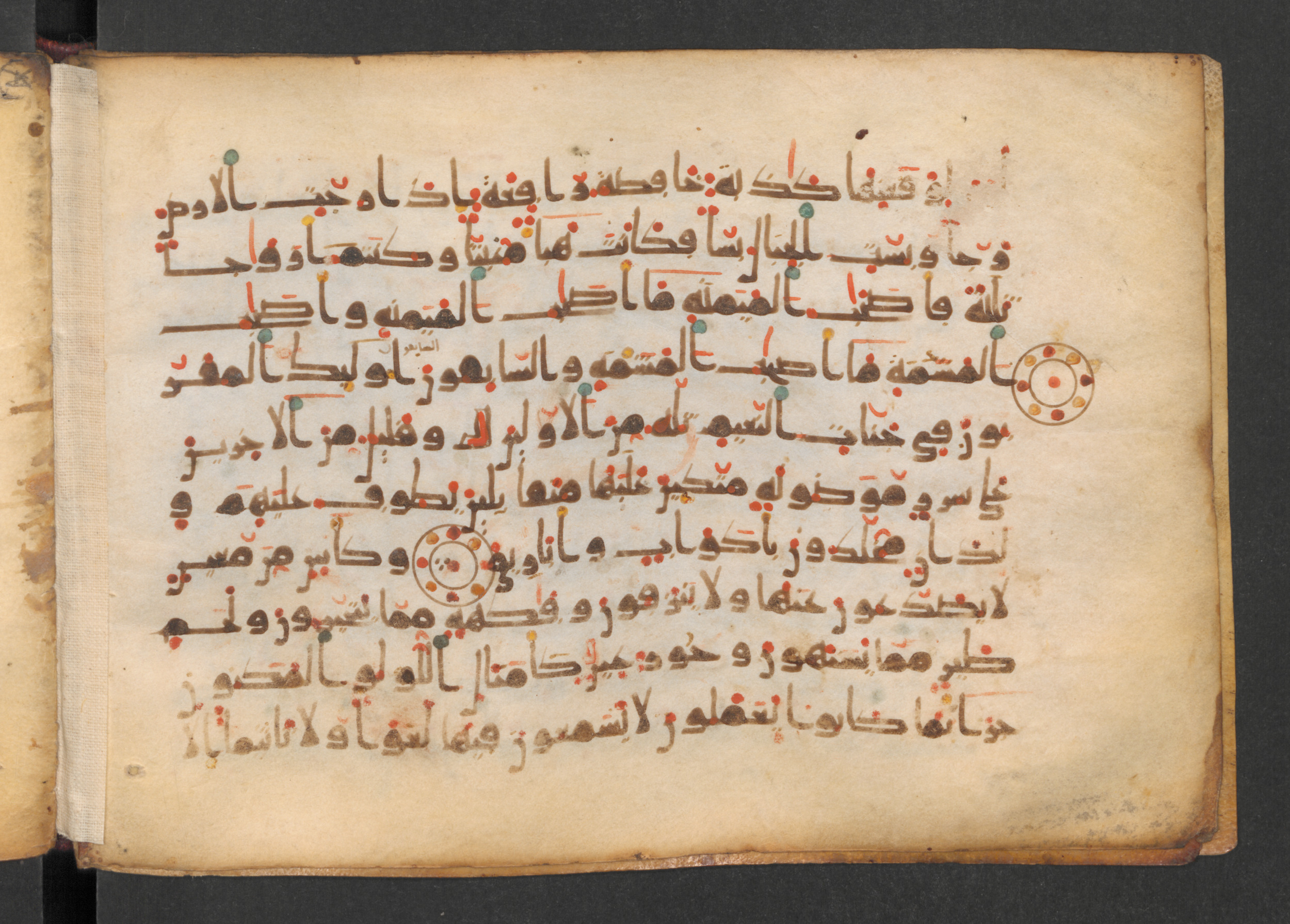 Codex Petermann I 38, in kūfī D.Vb script, showing Surah 56:21 from Mid-8th to Late 10th Century AD found in Unknown, currently housed at Staatsbibliothek zu Berlin, Berlin