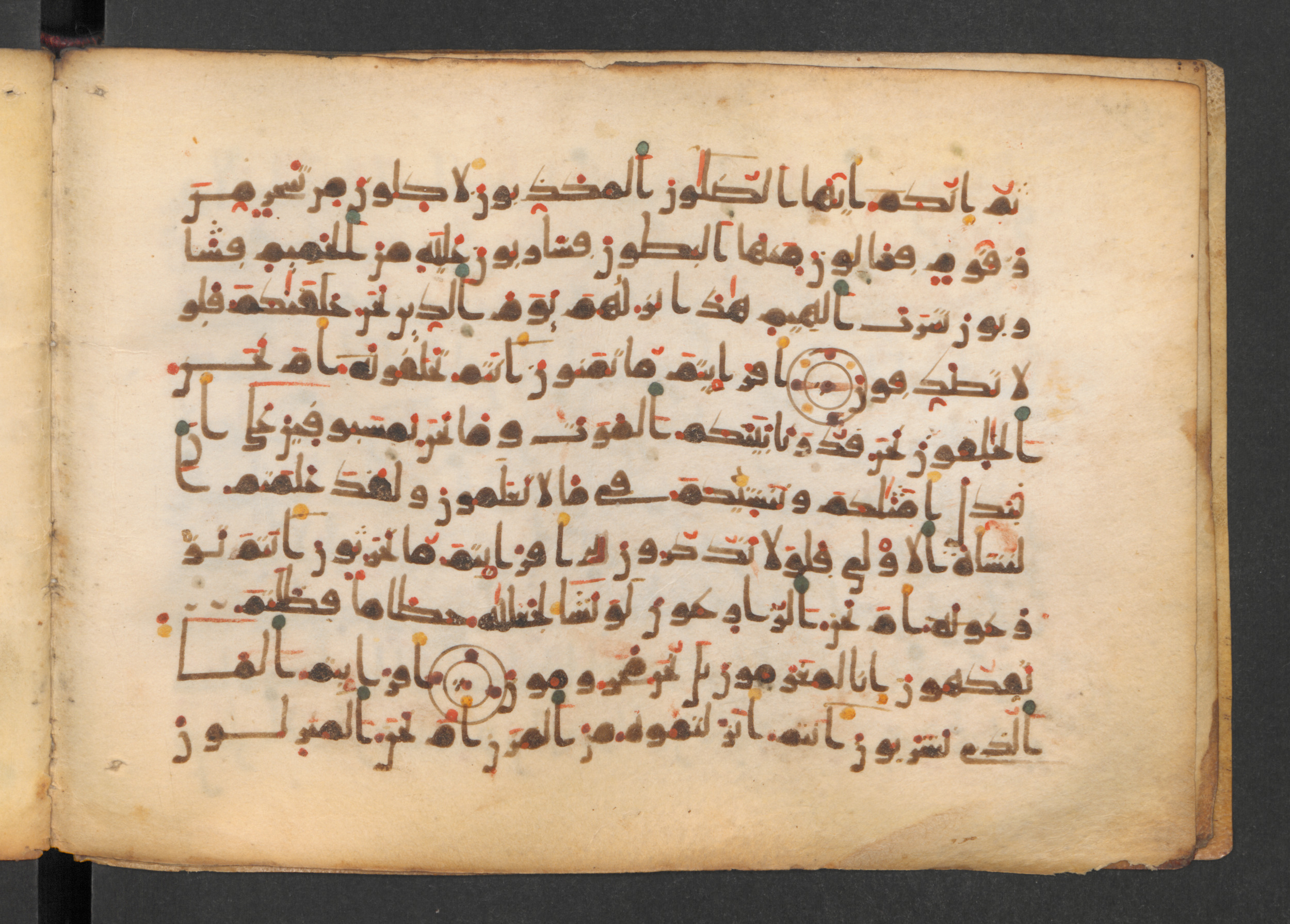 Codex Petermann I 38, in kūfī D.Vb script, showing Surah 56:52 from Mid-8th to Late 10th Century AD found in Unknown, currently housed at Staatsbibliothek zu Berlin, Berlin