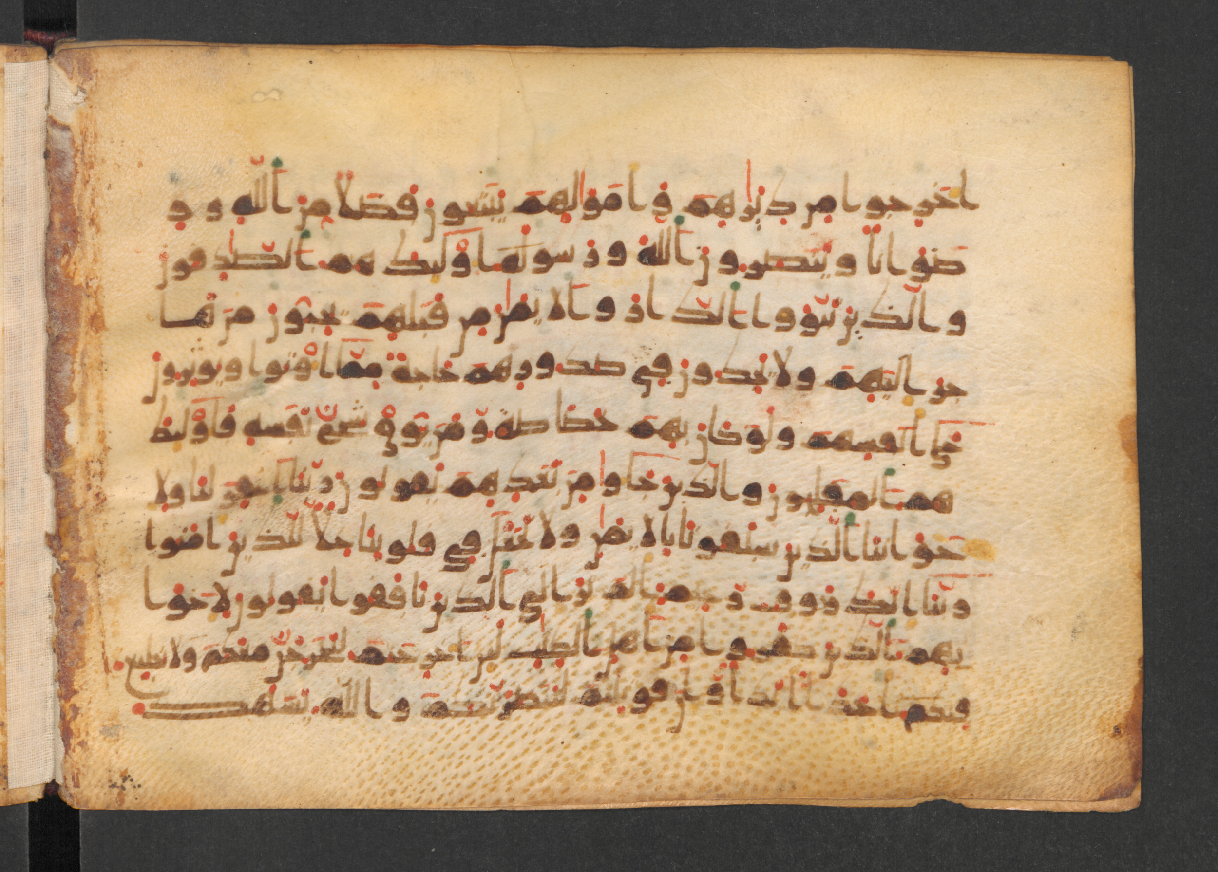 Codex Petermann I 38 (Scan 2), in kūfī D.Vb script, showing Surah 59:8 from Mid-8th to Late 10th Century AD found in Unknown, currently housed at Staatsbibliothek zu Berlin, Berlin