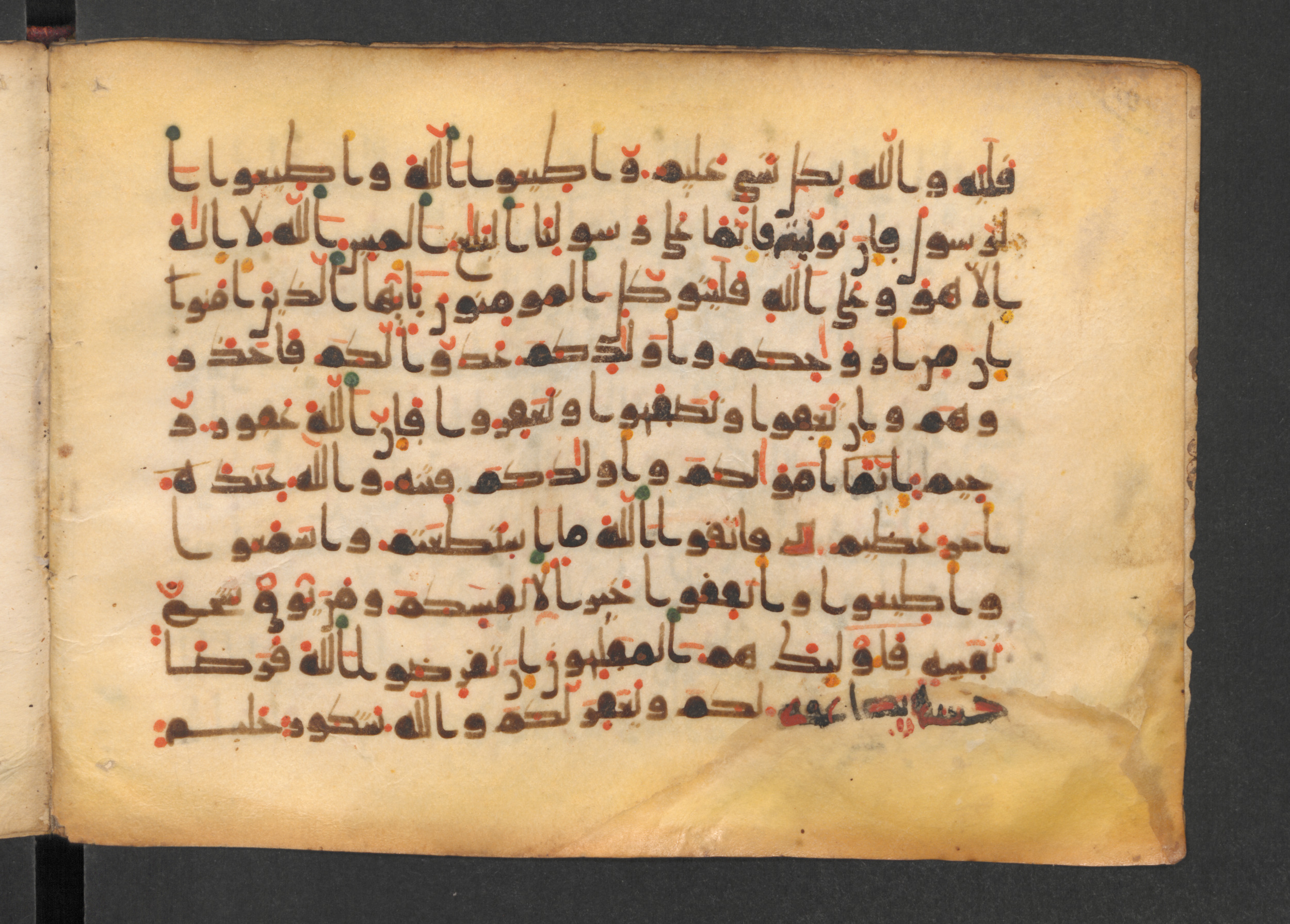 Codex Petermann I 38, in kūfī D.Vb script, showing Surah 64:13 from Mid-8th to Late 10th Century AD found in Unknown, currently housed at Staatsbibliothek zu Berlin, Berlin