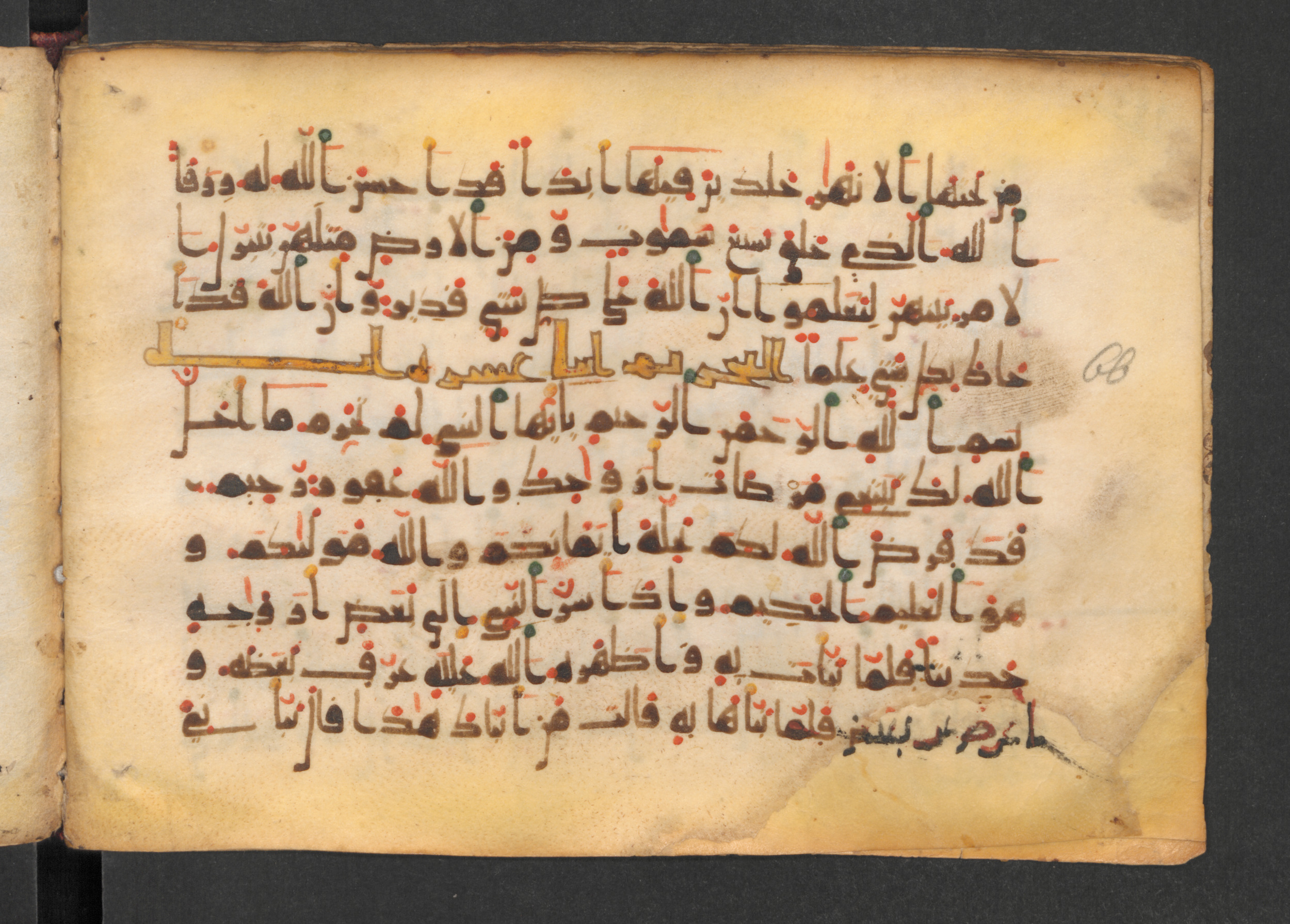Codex Petermann I 38, in kūfī D.Vb script, showing Surah 66:1 from Mid-8th to Late 10th Century AD found in Unknown, currently housed at Staatsbibliothek zu Berlin, Berlin
