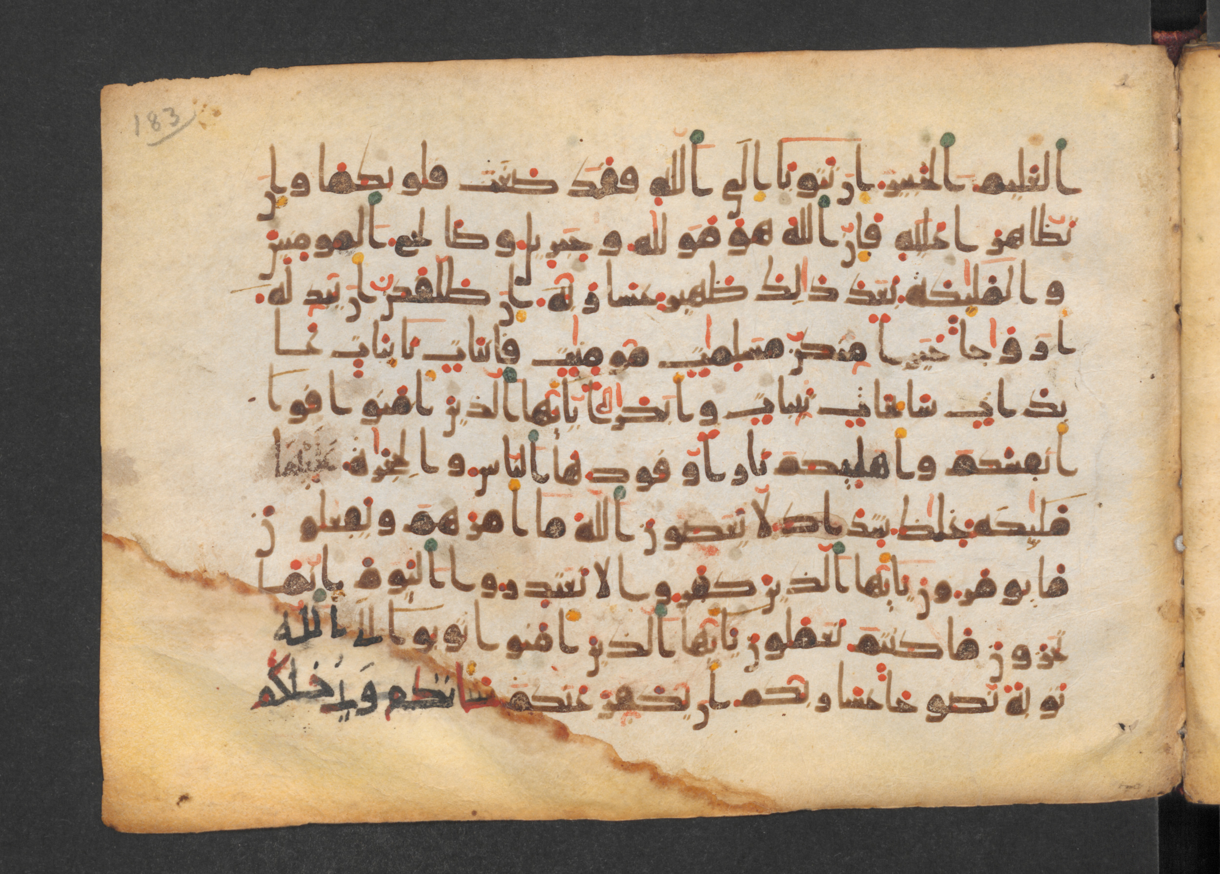 Codex Petermann I 38, in kūfī D.Vb script, showing Surah 66:7 from Mid-8th to Late 10th Century AD found in Unknown, currently housed at Staatsbibliothek zu Berlin, Berlin
