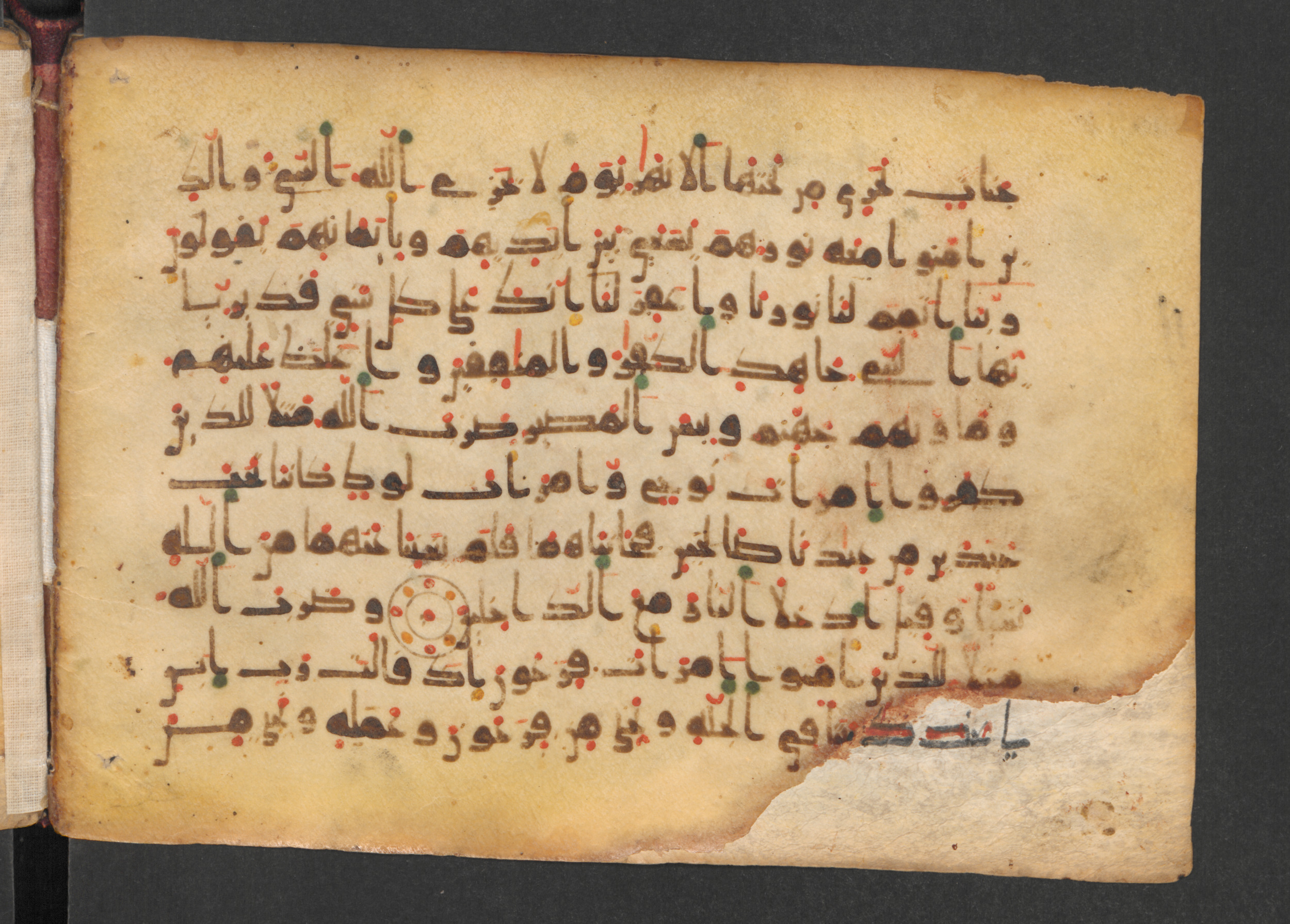 Codex Petermann I 38 (Scan 2), in kūfī D.Vb script, showing Surah 66:8 from Mid-8th to Late 10th Century AD found in Unknown, currently housed at Staatsbibliothek zu Berlin, Berlin