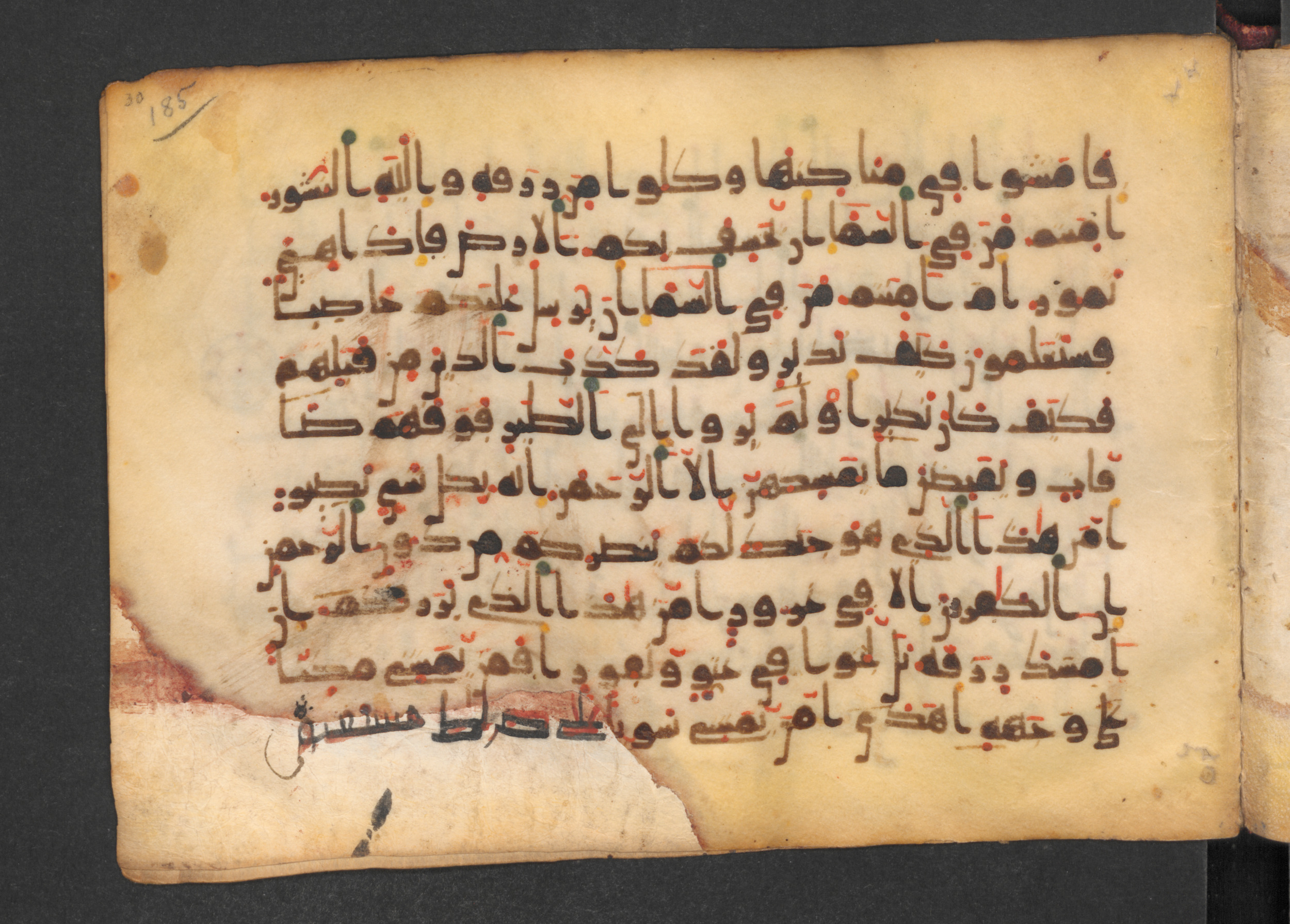 Codex Petermann I 38, in kūfī D.Vb script, showing Surah 67:21 from Mid-8th to Late 10th Century AD found in Unknown, currently housed at Staatsbibliothek zu Berlin, Berlin