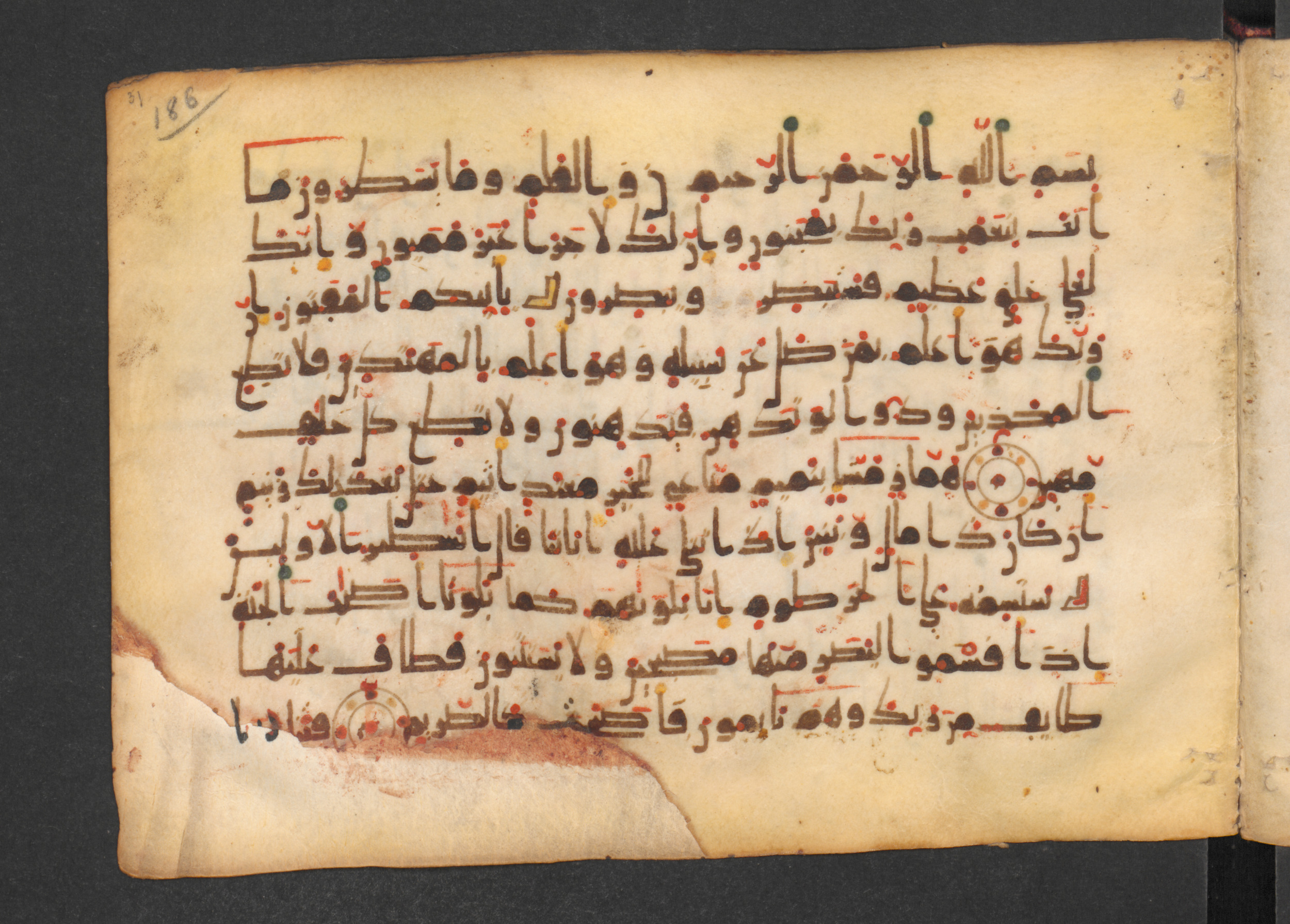Codex Petermann I 38, in kūfī D.Vb script, showing Surah 68:13 from Mid-8th to Late 10th Century AD found in Unknown, currently housed at Staatsbibliothek zu Berlin, Berlin