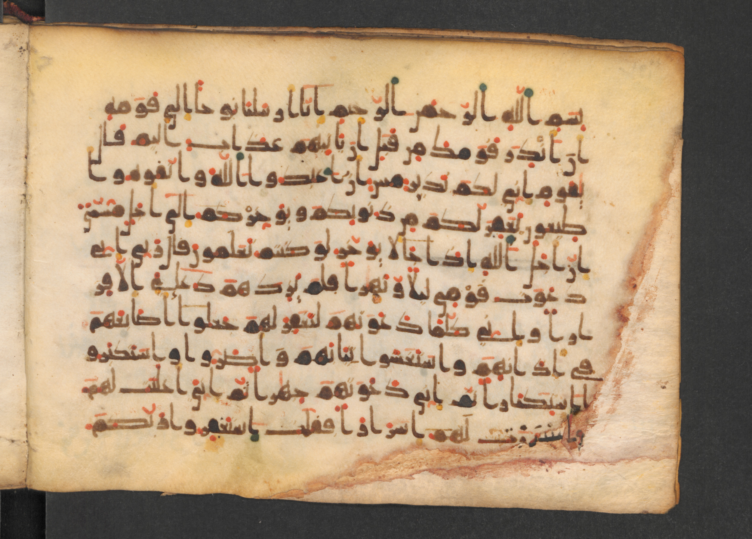 Codex Petermann I 38, in kūfī D.Vb script, showing Surah 71:2 from Mid-8th to Late 10th Century AD found in Unknown, currently housed at Staatsbibliothek zu Berlin, Berlin