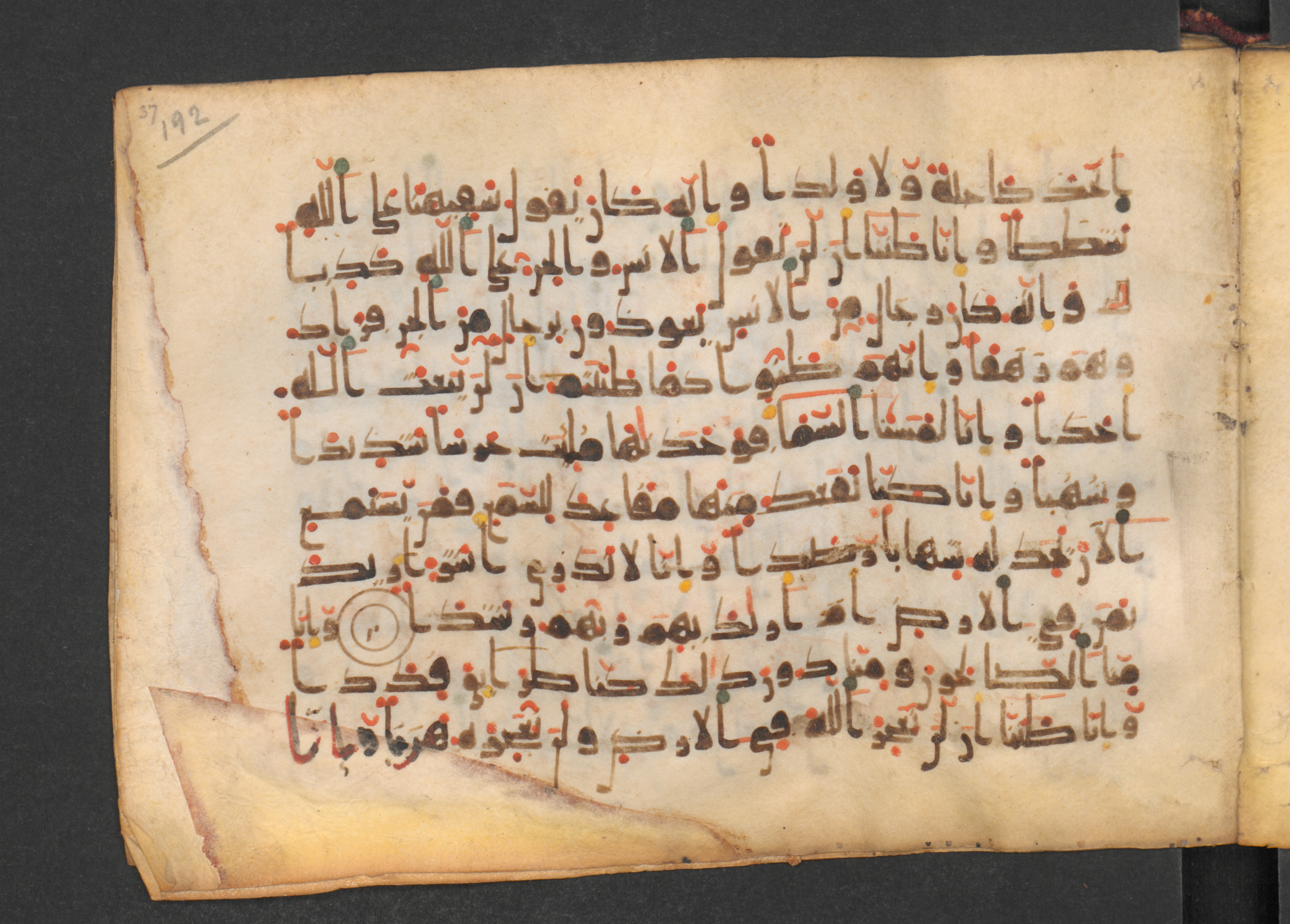 Codex Petermann I 38 (Scan 1), in kūfī D.Vb script, showing Surah 72:13 from Mid-8th to Late 10th Century AD found in Unknown, currently housed at Staatsbibliothek zu Berlin, Berlin