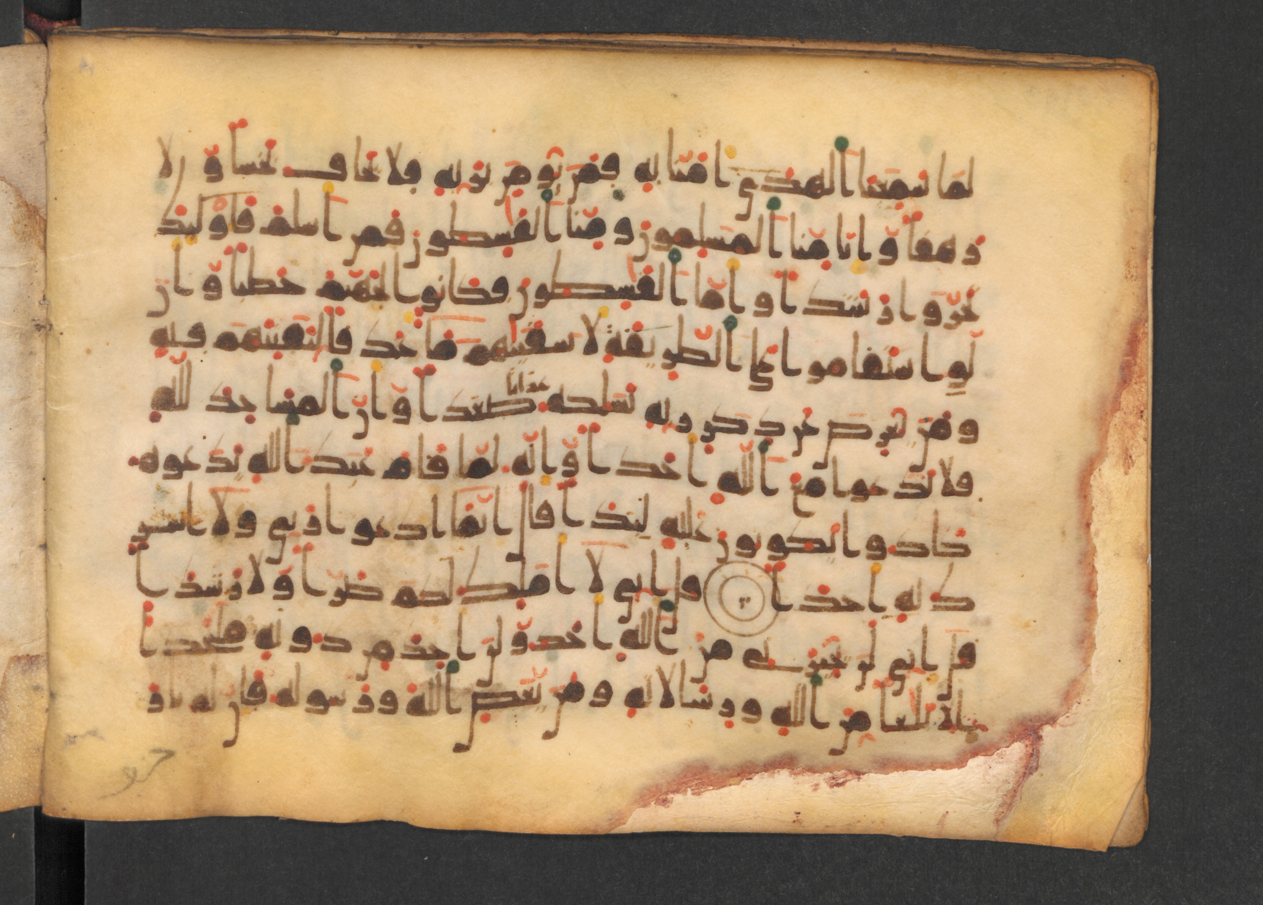 Codex Petermann I 38 (Scan 2), in kūfī D.Vb script, showing Surah 72:13 from Mid-8th to Late 10th Century AD found in Unknown, currently housed at Staatsbibliothek zu Berlin, Berlin