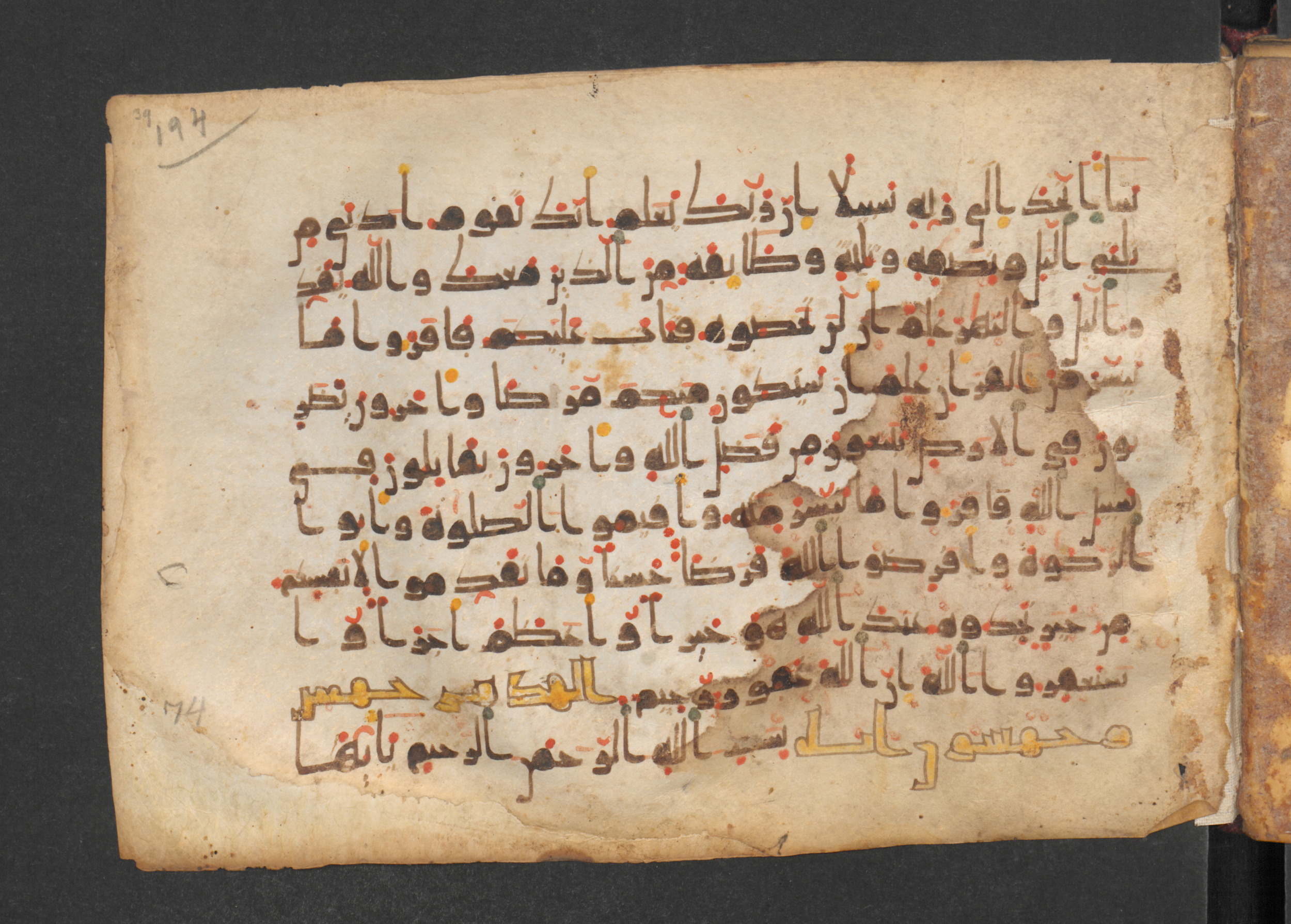 Codex Petermann I 38 (Scan 1), in kūfī D.Vb script, showing Surah 74:1 from Mid-8th to Late 10th Century AD found in Unknown, currently housed at Staatsbibliothek zu Berlin, Berlin