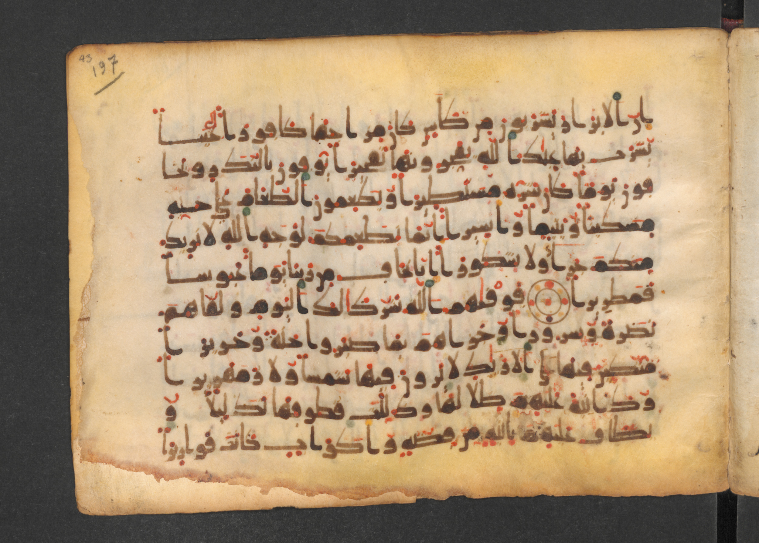 Codex Petermann I 38, in kūfī D.Vb script, showing Surah 76:13 from Mid-8th to Late 10th Century AD found in Unknown, currently housed at Staatsbibliothek zu Berlin, Berlin