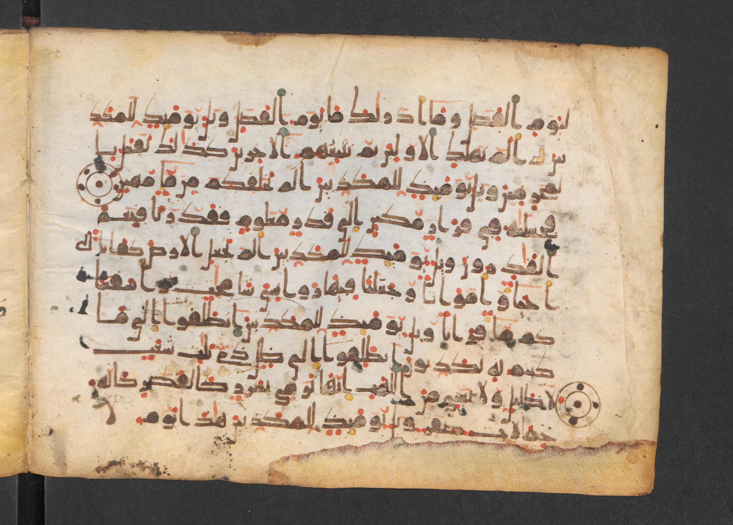 Codex Petermann I 38, in kūfī D.Vb script, showing Surah 77:21 from Mid-8th to Late 10th Century AD found in Unknown, currently housed at Staatsbibliothek zu Berlin, Berlin