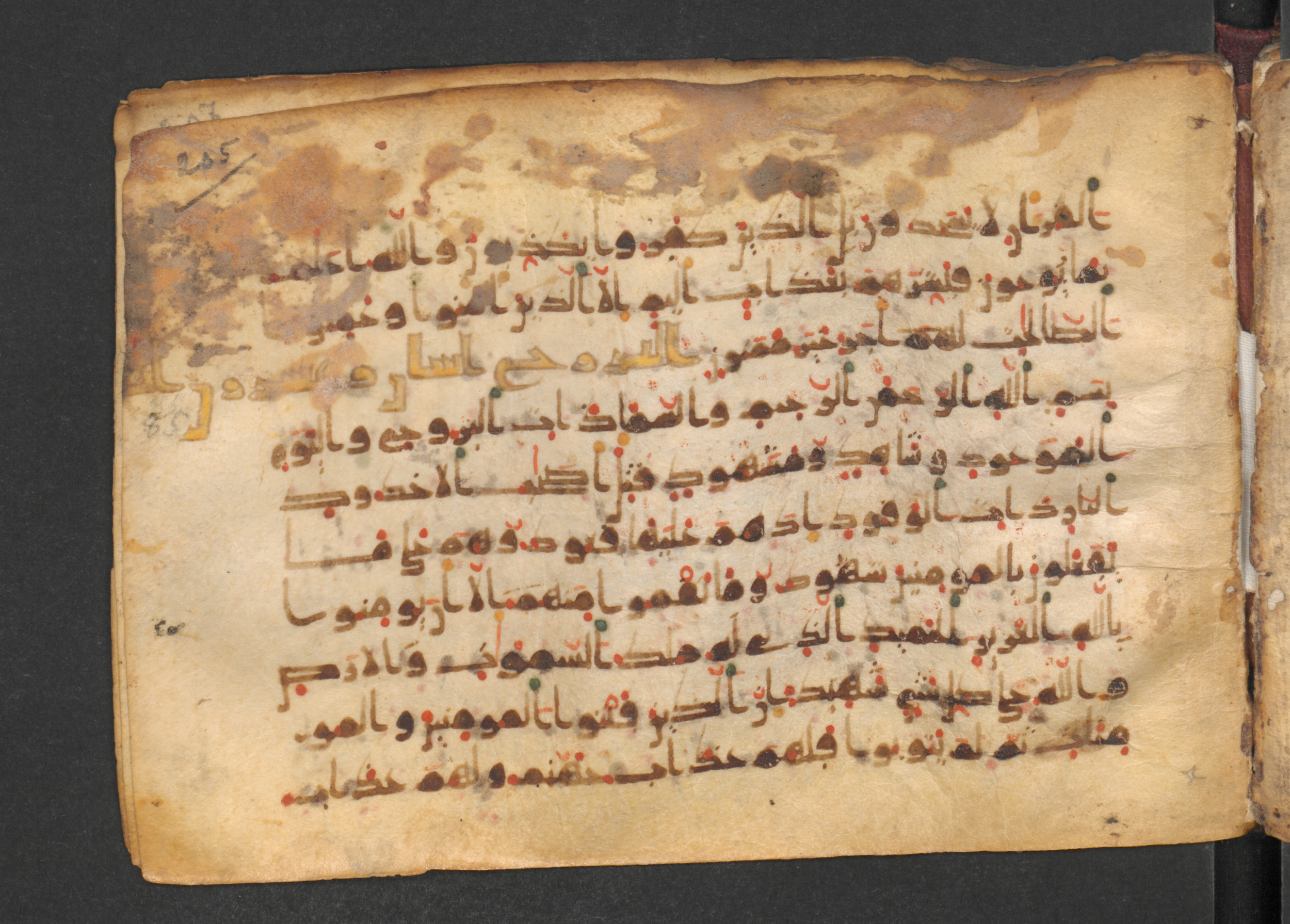 Codex Petermann I 38, in kūfī D.Vb script, showing Surah 85:2 from Mid-8th to Late 10th Century AD found in Unknown, currently housed at Staatsbibliothek zu Berlin, Berlin