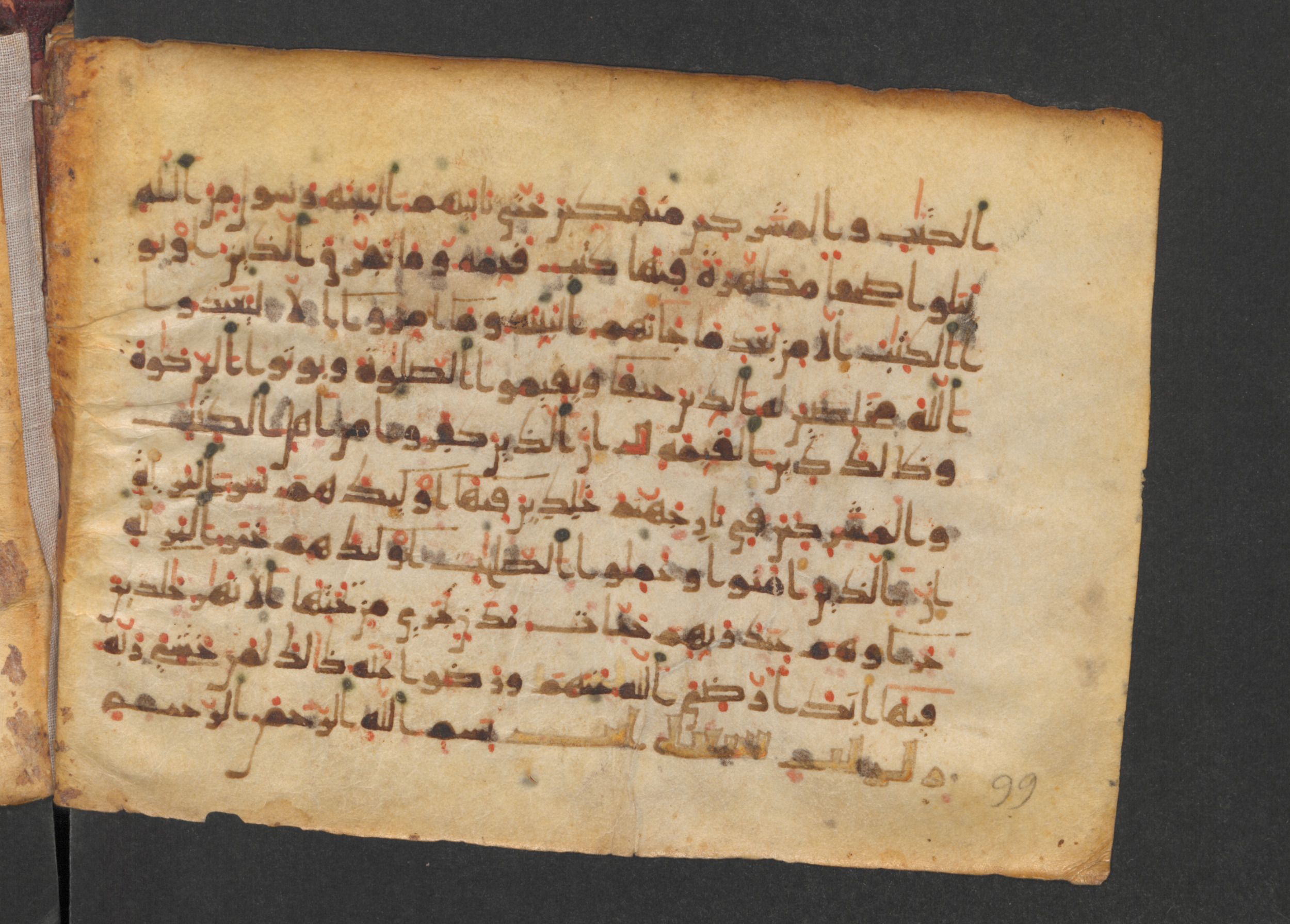 Codex Petermann I 38, in kūfī D.Vb script, showing Surah 98:3 from Mid-8th to Late 10th Century AD found in Unknown, currently housed at Staatsbibliothek zu Berlin, Berlin