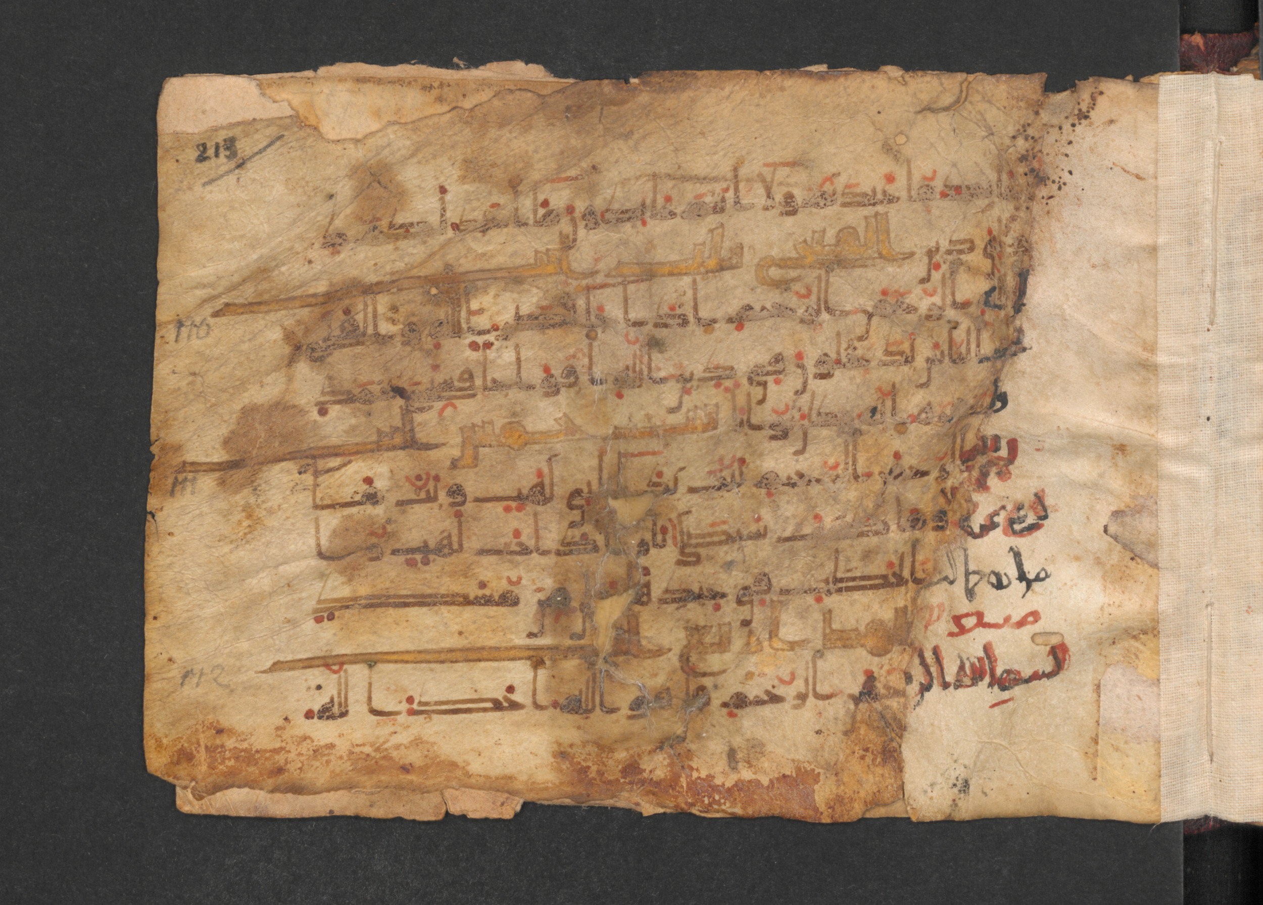 Codex Petermann I 38 (Scan 1), in kūfī D.Vb script, showing Surah 112:2 from Mid-8th to Late 10th Century AD found in Unknown, currently housed at Staatsbibliothek zu Berlin, Berlin