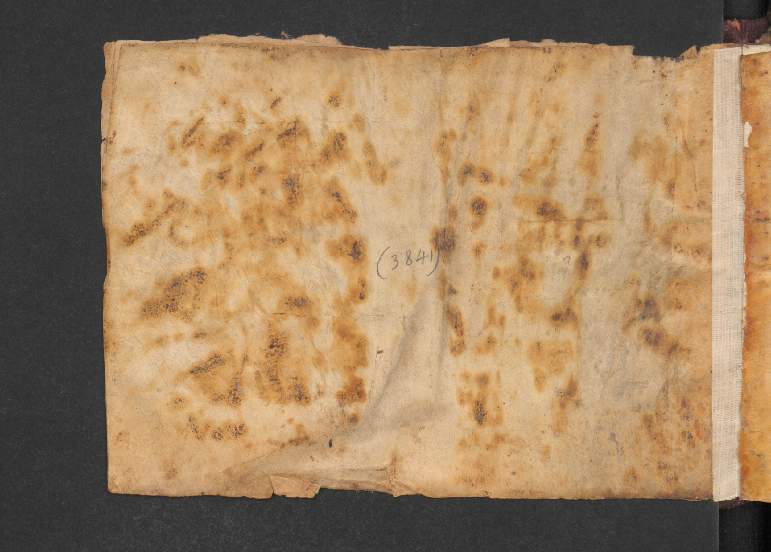 Codex Petermann I 38 (Scan 2), in kūfī D.Vb script, showing Surah 113:2 from Mid-8th to Late 10th Century AD found in Unknown, currently housed at Staatsbibliothek zu Berlin, Berlin