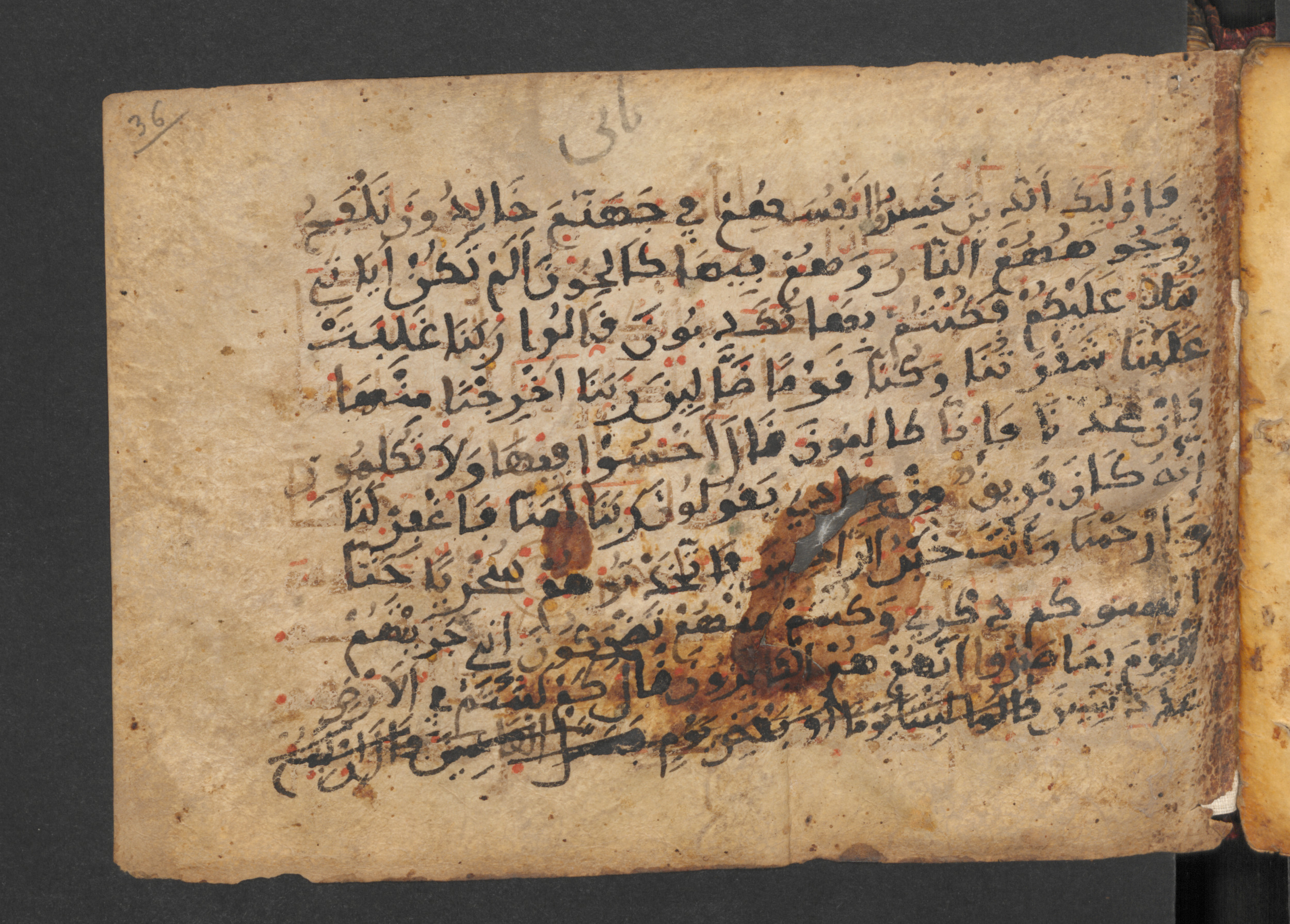 Codex Petermann I 38, in kūfī D.Vb script, showing Surah 23:112 from Mid-8th to Late 10th Century AD found in Unknown, currently housed at Staatsbibliothek zu Berlin, Berlin