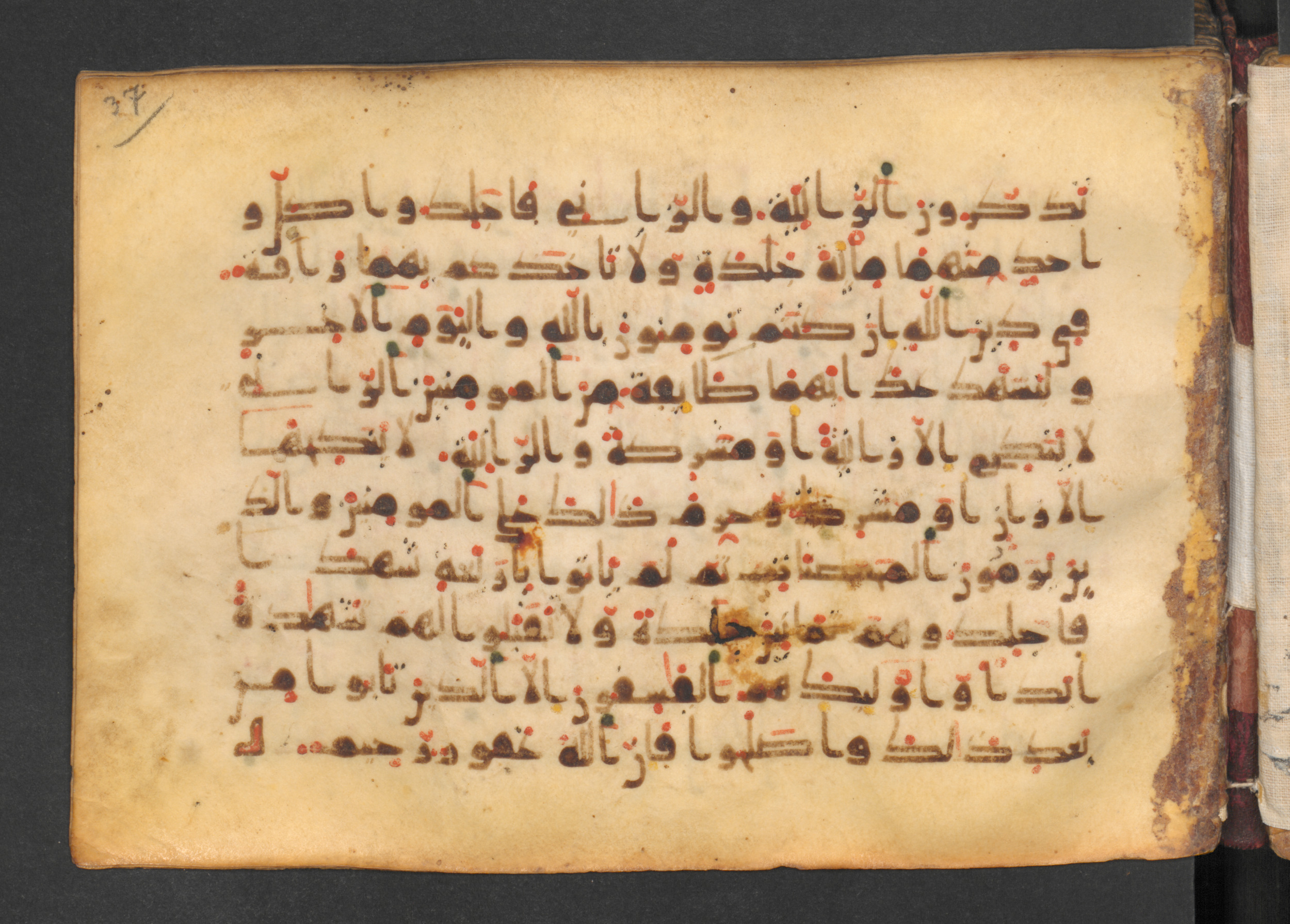 Codex Petermann I 38, in kūfī D.Vb script, showing Surah 24:2 from Mid-8th to Late 10th Century AD found in Unknown, currently housed at Staatsbibliothek zu Berlin, Berlin