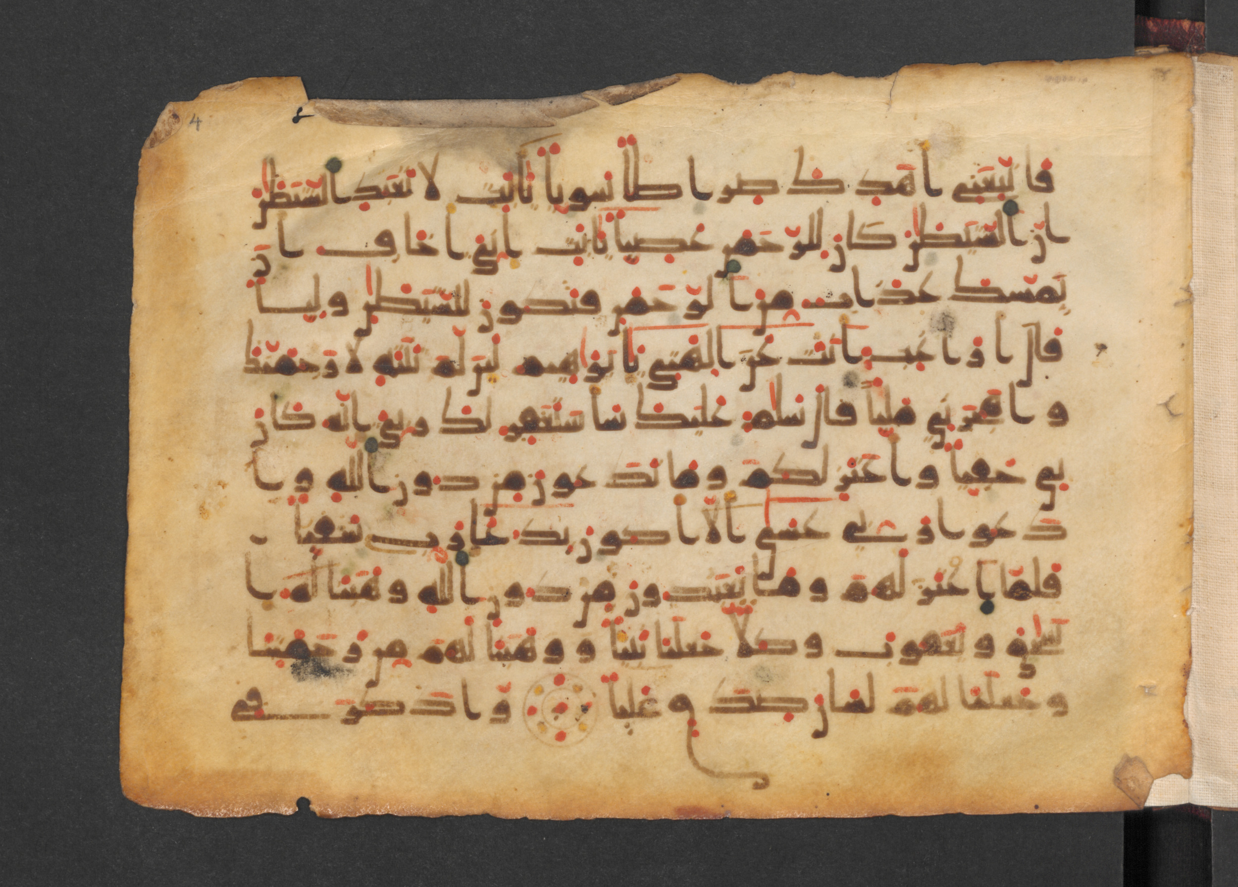 Codex Petermann I 38, in kūfī D.Vb script, showing Surah 19:49 from Mid-8th to Late 10th Century AD found in Unknown, currently housed at Staatsbibliothek zu Berlin, Berlin