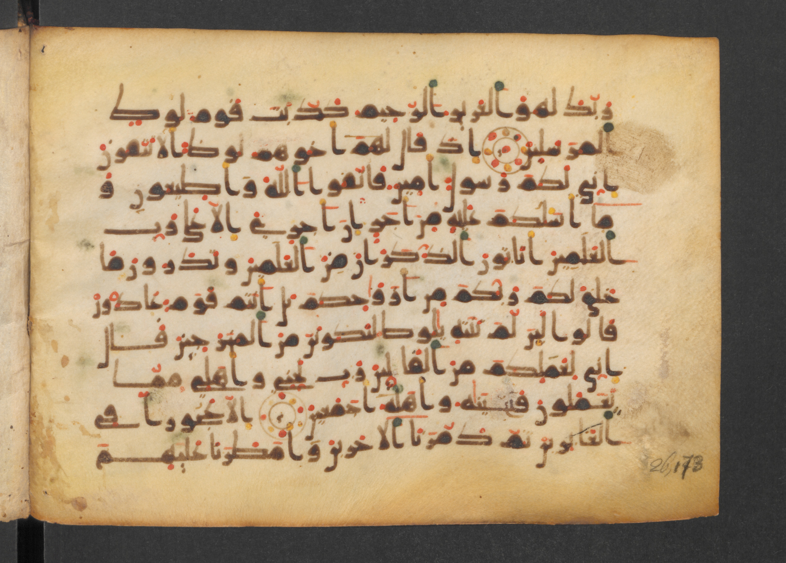 Codex Petermann I 38, in kūfī D.Vb script, showing Surah 26:166 from Mid-8th to Late 10th Century AD found in Unknown, currently housed at Staatsbibliothek zu Berlin, Berlin