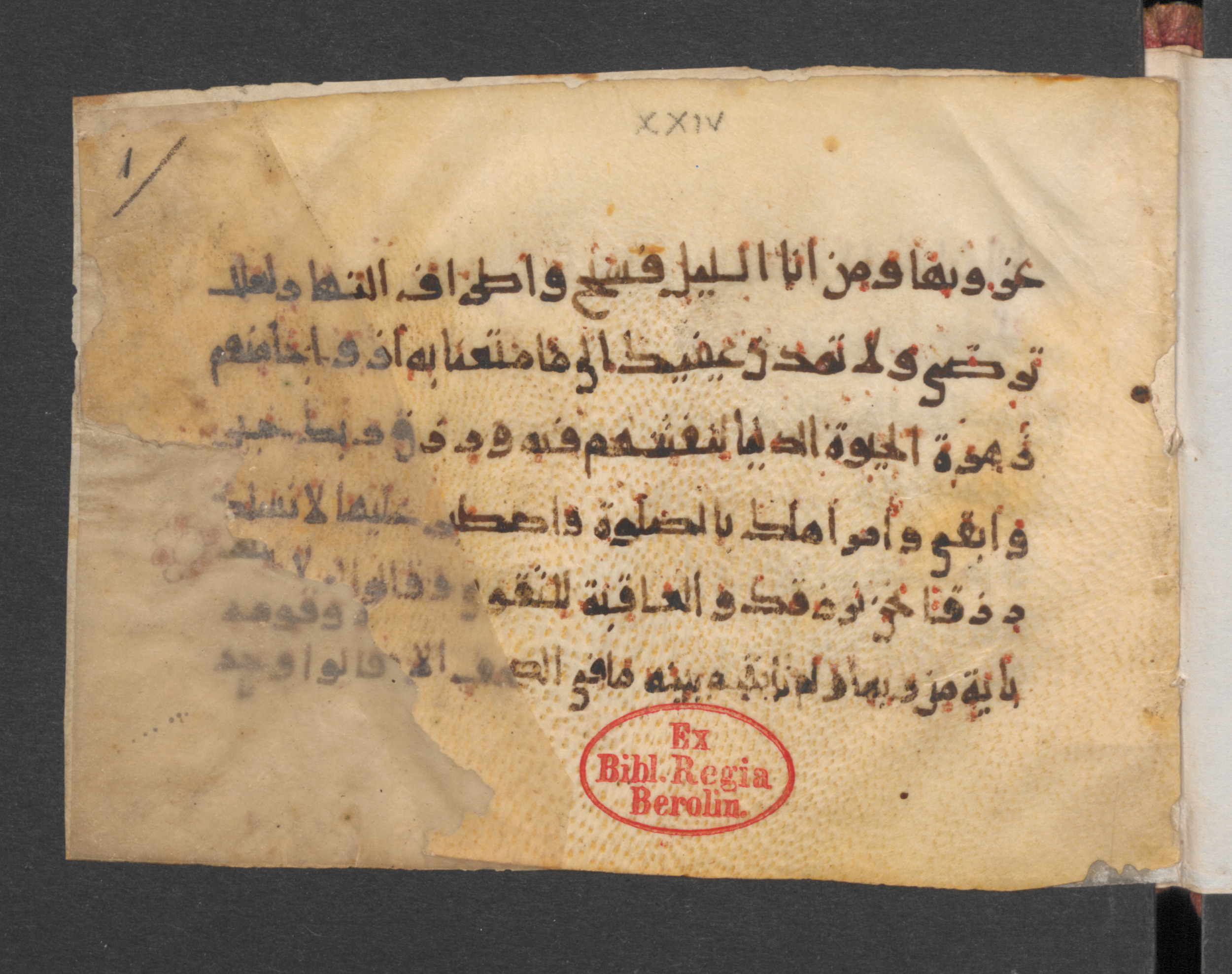 Wetzstein II 1936, in kūfī E.I script, showing Surah 20:133 from 9th to 10th Century AD found in Damascus, Syria, currently housed at Staatsbibliothek zu Berlin, Berlin, Germany