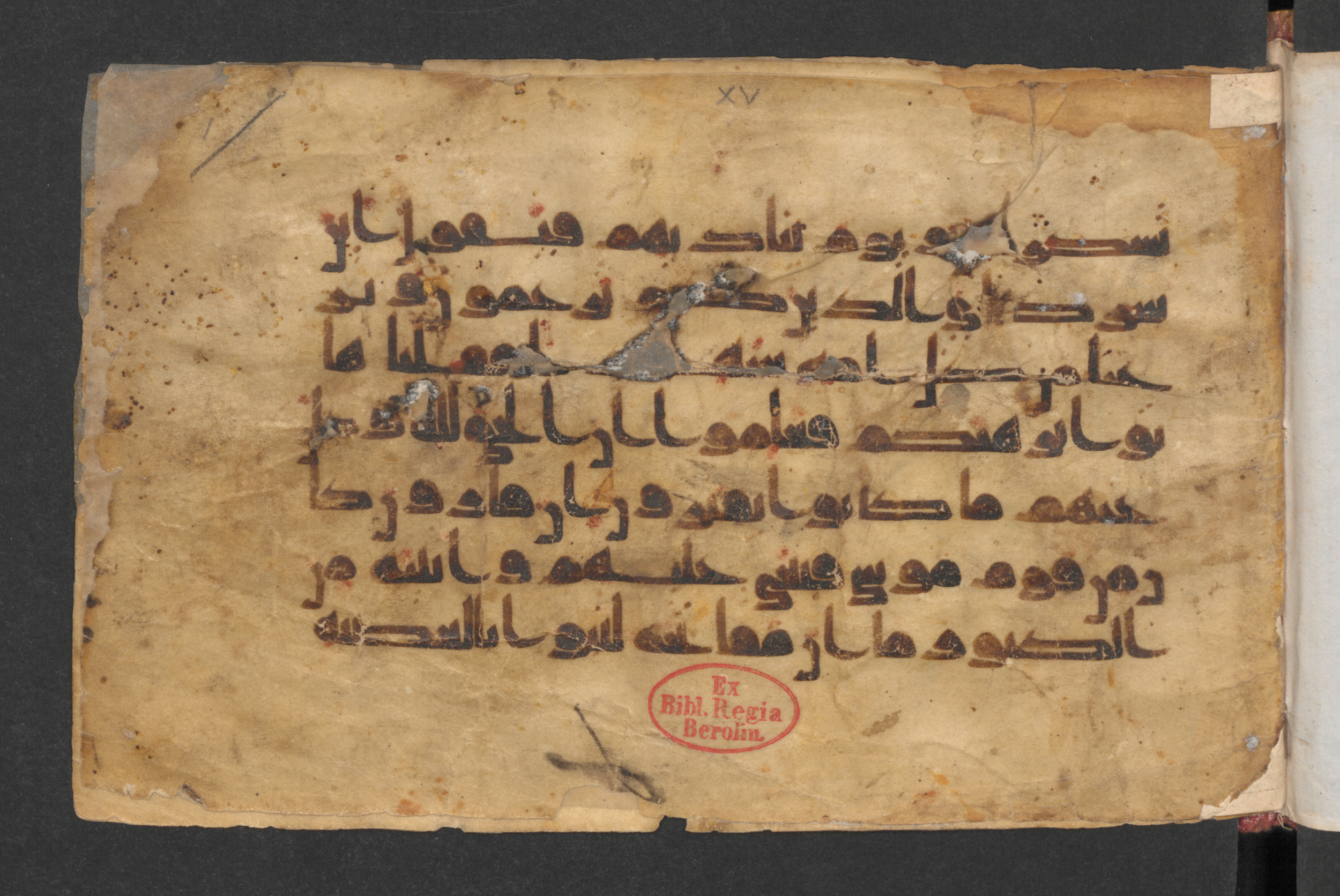Berlin, Staatsbibliothek zu Berlin, Wetzstein II 1927 (Ahlwardt 348) (Scan 1), in kūfī D.I script, showing Surah 28:76 from Late 8th / 9th Century AD found in Damascus, Syria, currently housed at Staatsbibliothek zu Berlin, Berlin