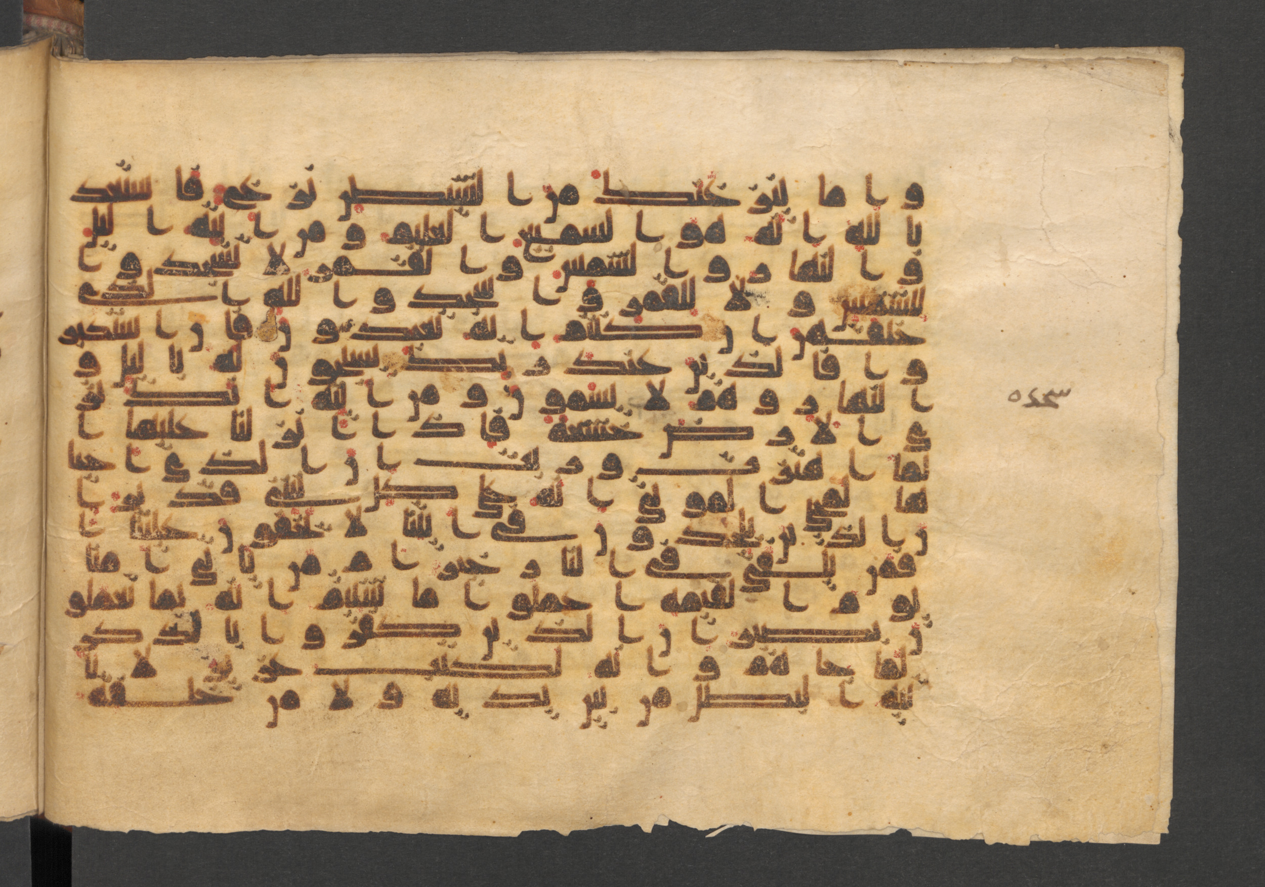Wetzstein II 1937 (Ahlwardt 353), in kūfī D script, showing Surah 41:39 from 9th Century AD found in Damascus, currently housed at Staatsbibliothek zu Berlin, Berlin