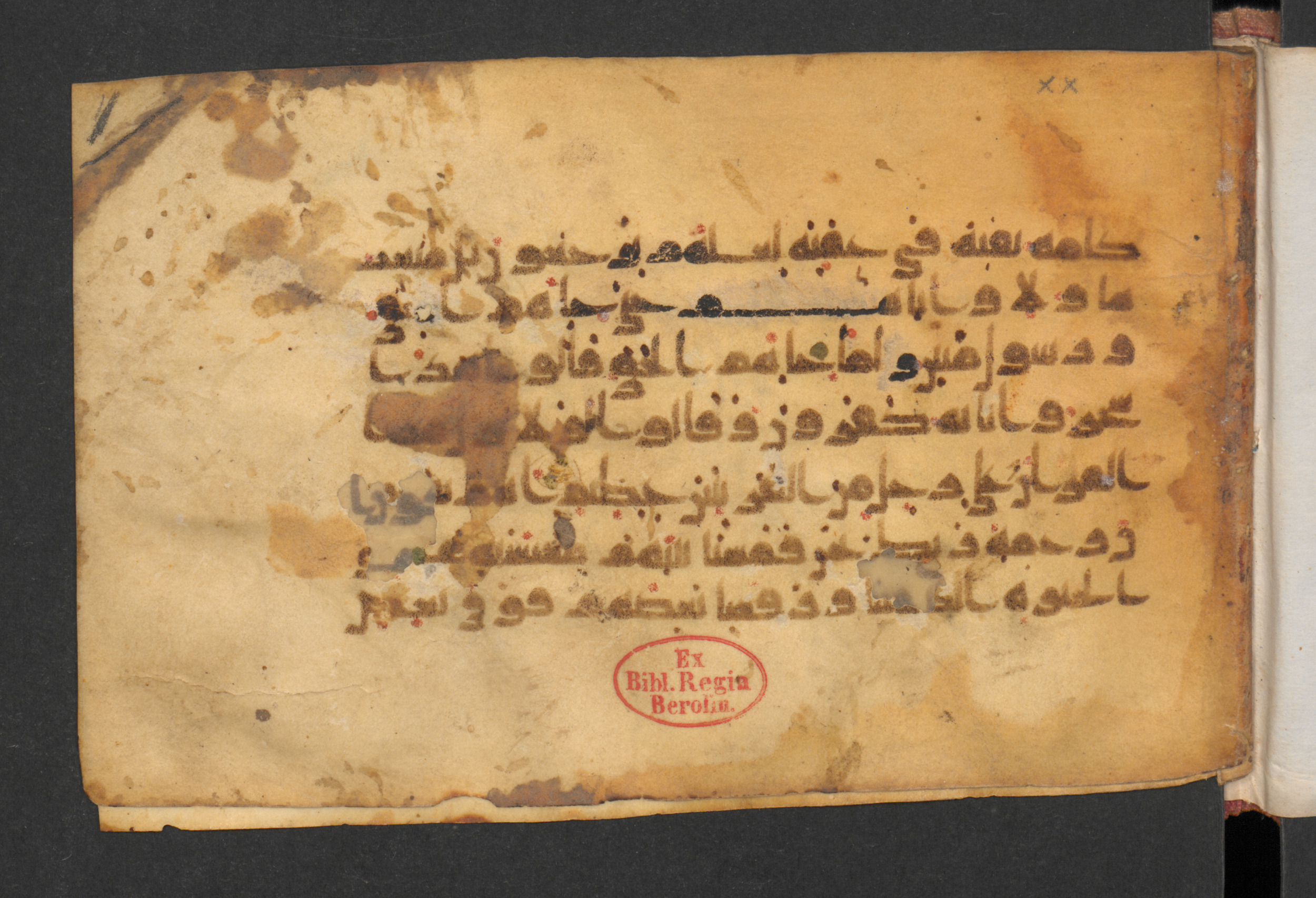 Wetzstein II 1932 (Ahlwardt 357) (Scan 1), in Kūfī D script, showing Surah 43:32 from 8th to 9th Century AD found in Damascus, Syria, currently housed at Staatsbibliothek zu Berlin, Berlin, Germany