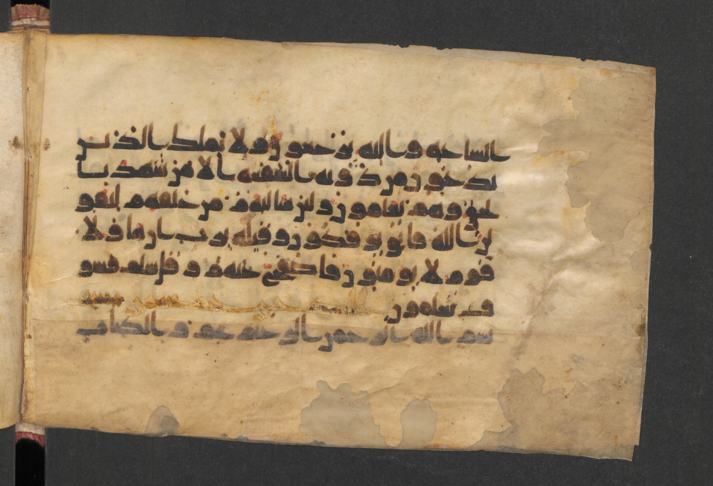 Wetzstein II 1932 (Ahlwardt 357) (Scan 1), in Kūfī D script, showing Surah 44:2 from 8th to 9th Century AD found in Damascus, Syria, currently housed at Staatsbibliothek zu Berlin, Berlin, Germany