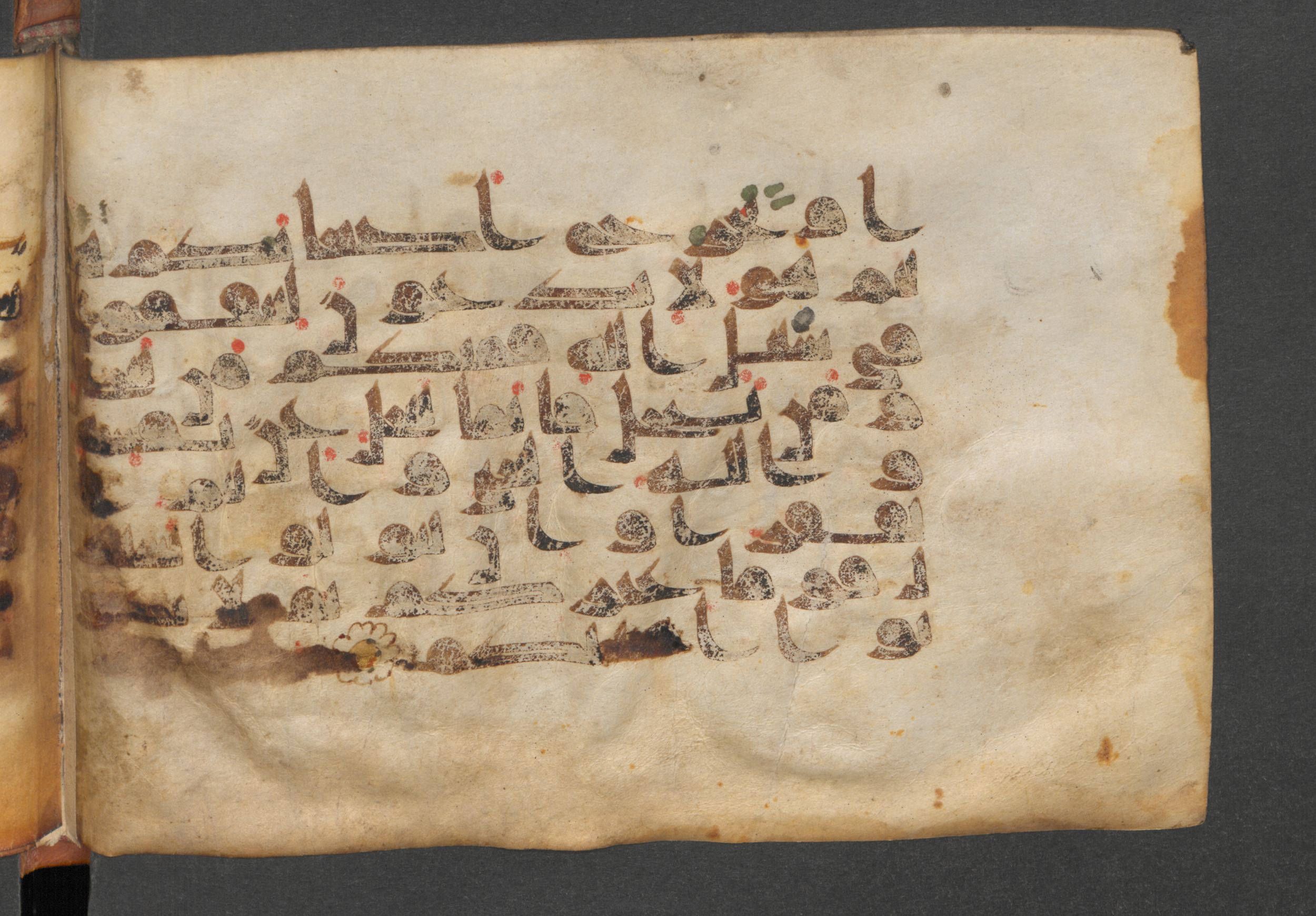 Berlin, Staatsbibliothek zu Berlin, Wetzstein II 1926 (Ahlwardt 360) (Scan 2), in kūfī D script, showing Surah 47:37 from Mid-8th to Mid-10th Century AD found in Damascus, Syria, currently housed at Staatsbibliothek zu Berlin, Berlin, Germany