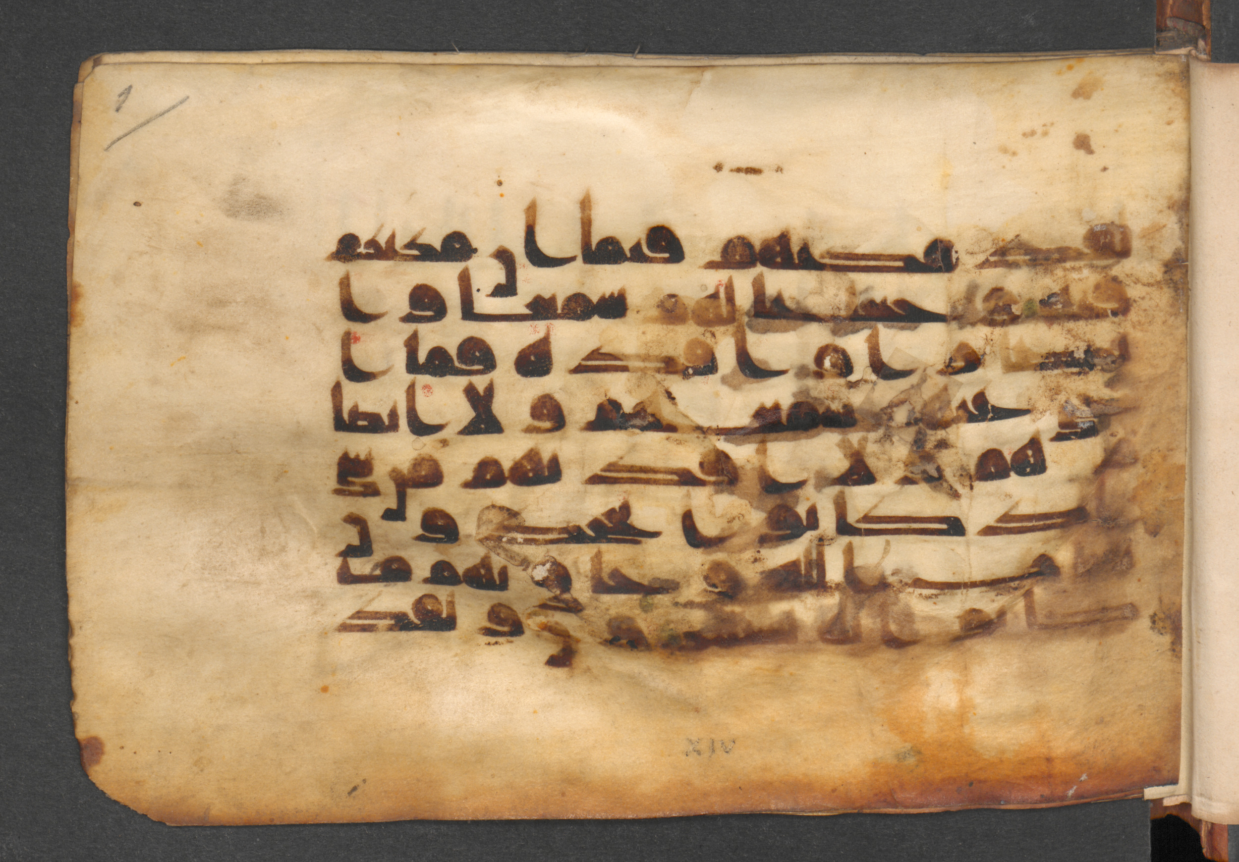 Berlin, Staatsbibliothek zu Berlin, Wetzstein II 1926 (Ahlwardt 360) (Scan 1), in kūfī D script, showing Surah 46:27 from Mid-8th to Mid-10th Century AD found in Damascus, Syria, currently housed at Staatsbibliothek zu Berlin, Berlin, Germany