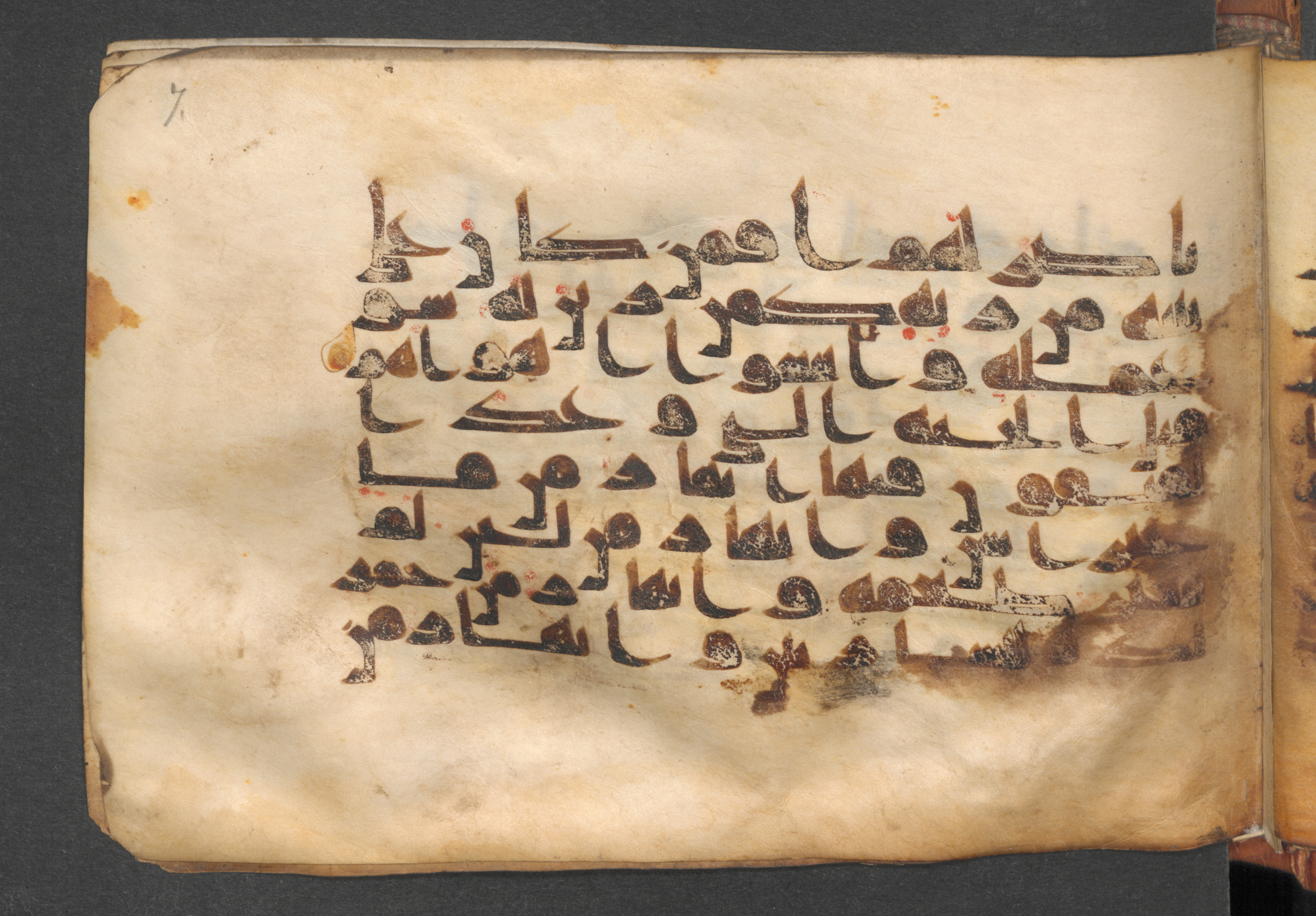Berlin, Staatsbibliothek zu Berlin, Wetzstein II 1926 (Ahlwardt 360) (Scan 2), in kūfī D script, showing Surah 47:13 from Mid-8th to Mid-10th Century AD found in Damascus, Syria, currently housed at Staatsbibliothek zu Berlin, Berlin, Germany