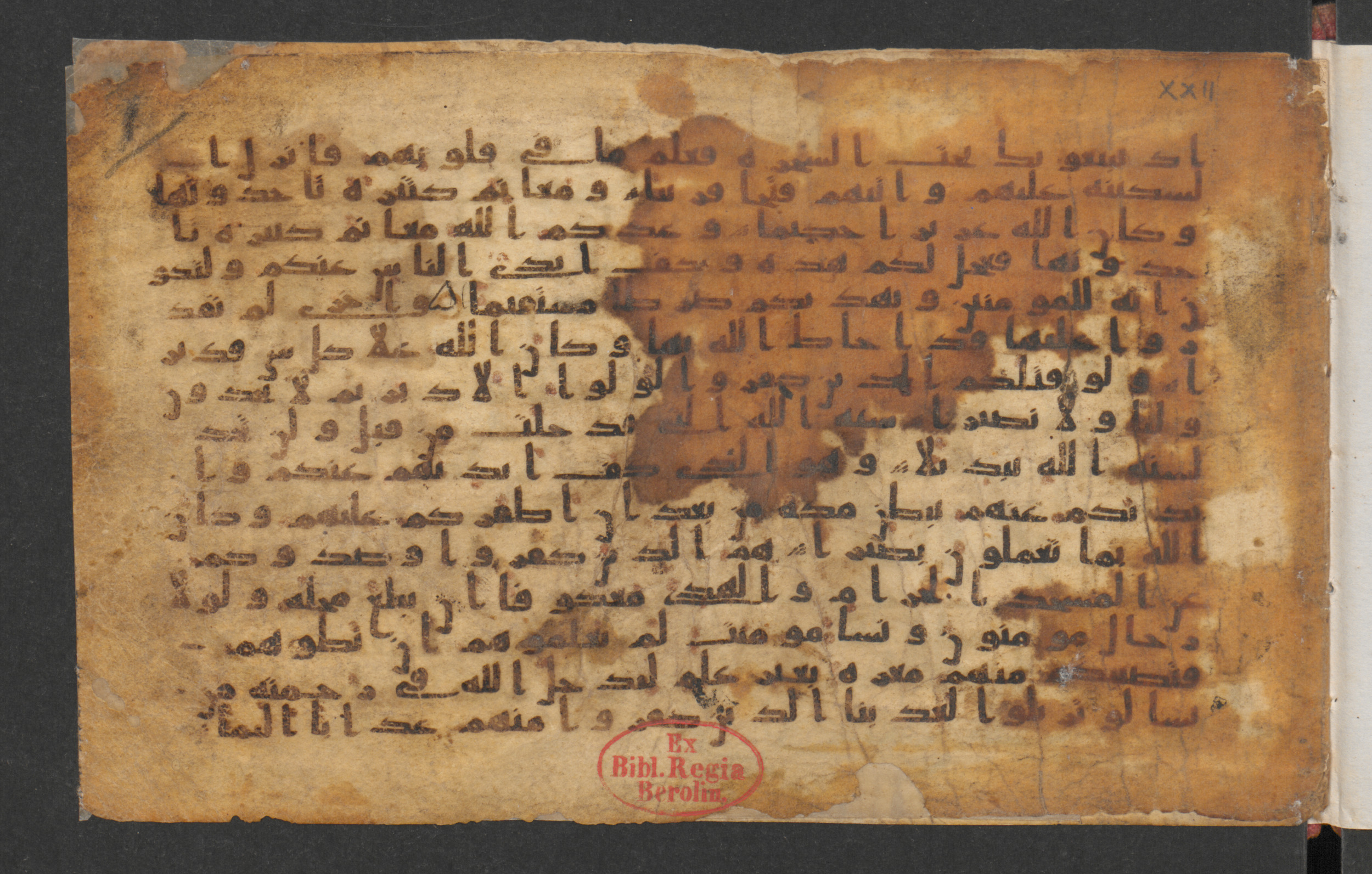 Wetzstein II 1934 (Ahlwardt 362), in kūfī B.Ib script, showing Surah 48:21 from Early to Mid 8th Century AD found in Damascus, Syria, currently housed at Staatsbibliothek zu Berlin, Berlin