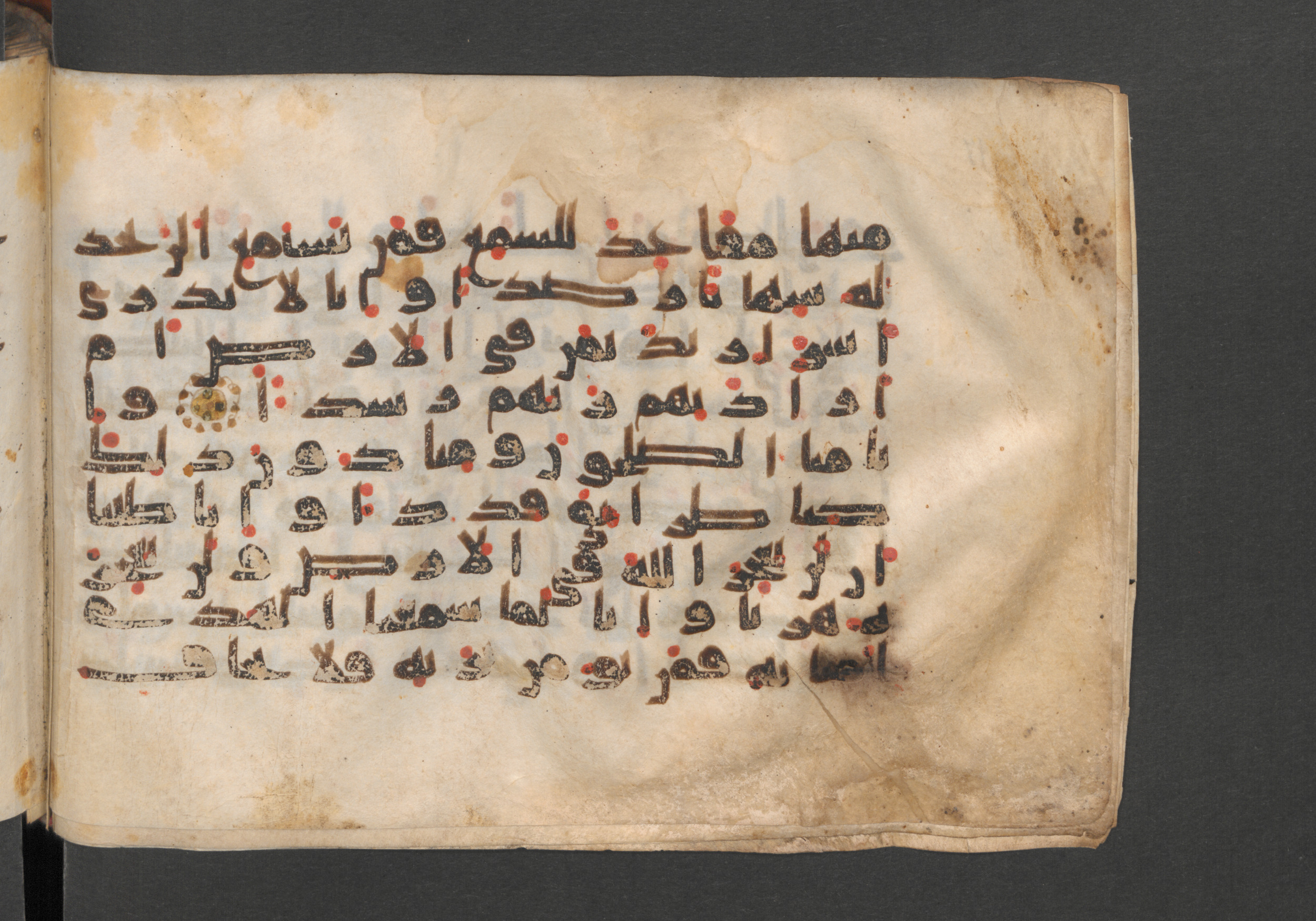 Berlin, Staatsbibliothek zu Berlin, Wetzstein II 1925 (Ahlwardt 364) (Scan 1), in kūfī E.I script, showing Surah 72:13 from 8th to 9th Century AD found in Damascus, Syria, currently housed at Staatsbibliothek zu Berlin, Berlin