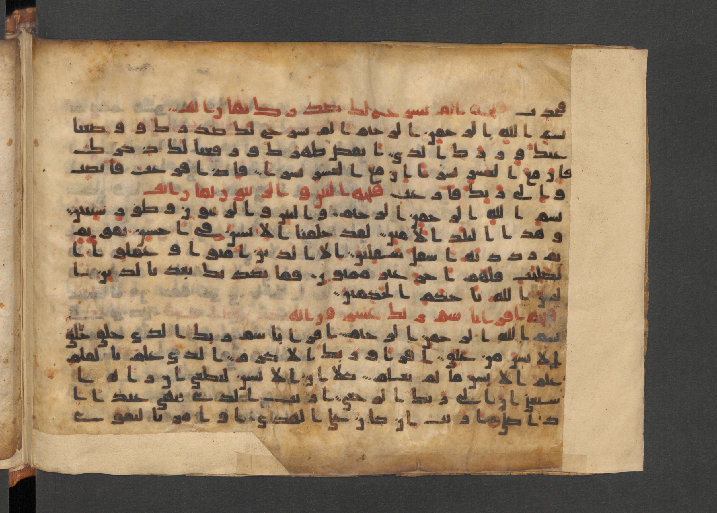 Berlin, Staatsbibliothek zu Berlin, Wetzstein II 1943 (Ahlwardt 365), in kūfī D.IV script, showing Surah 96:2 from 9th to 10th Century AD found in Damascus, Syria, currently housed at Staatsbibliothek zu Berlin, Berlin