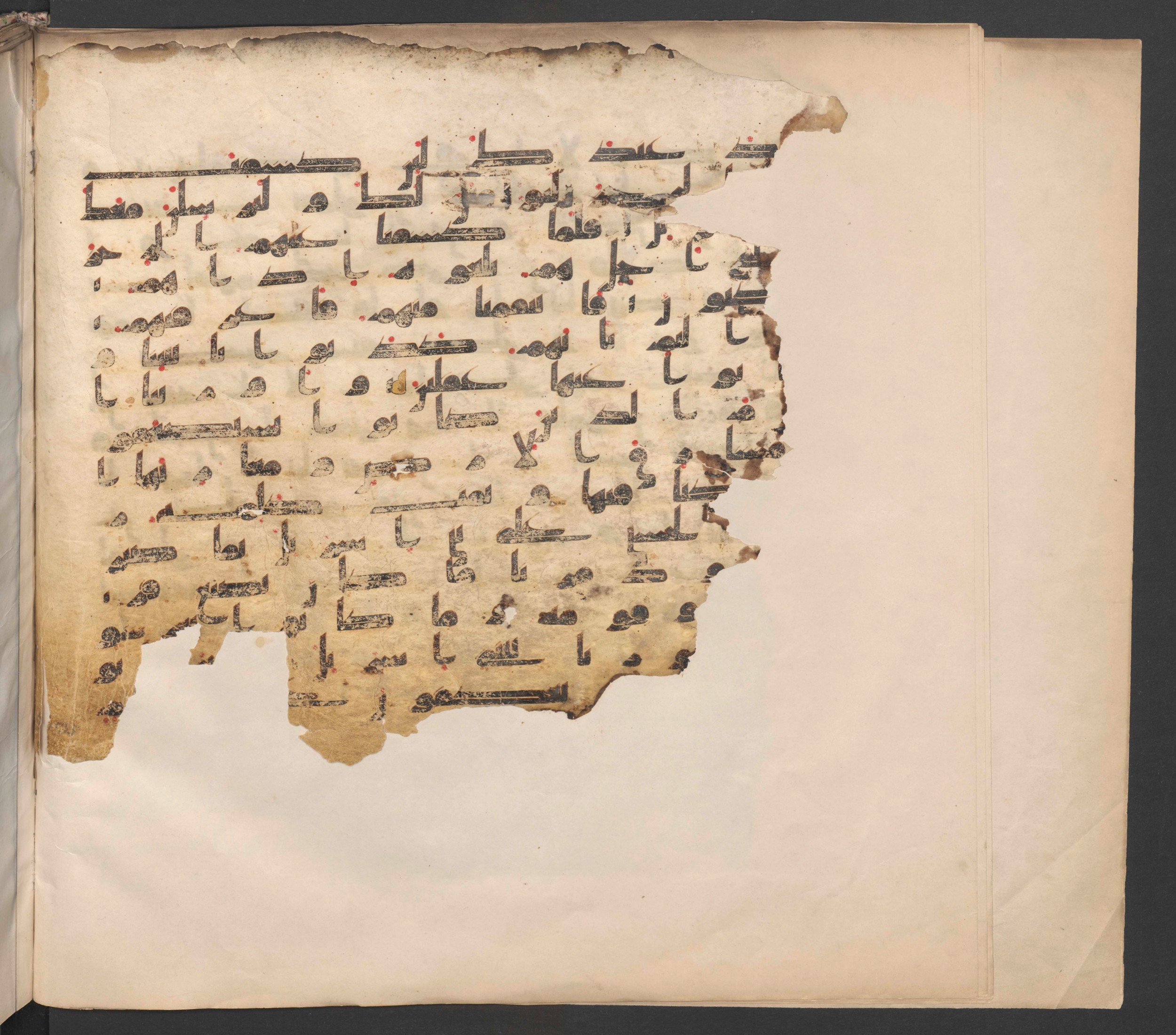 Berlin, Staatsbibliothek zu Berlin, Ms. or. fol. 379 (Ahlwardt 321), in other (non classified) script, showing Surah 7:136 from 8th to 9th Century AD found in Unknown, currently housed at Staatsbibliothek zu Berlin, Berlin