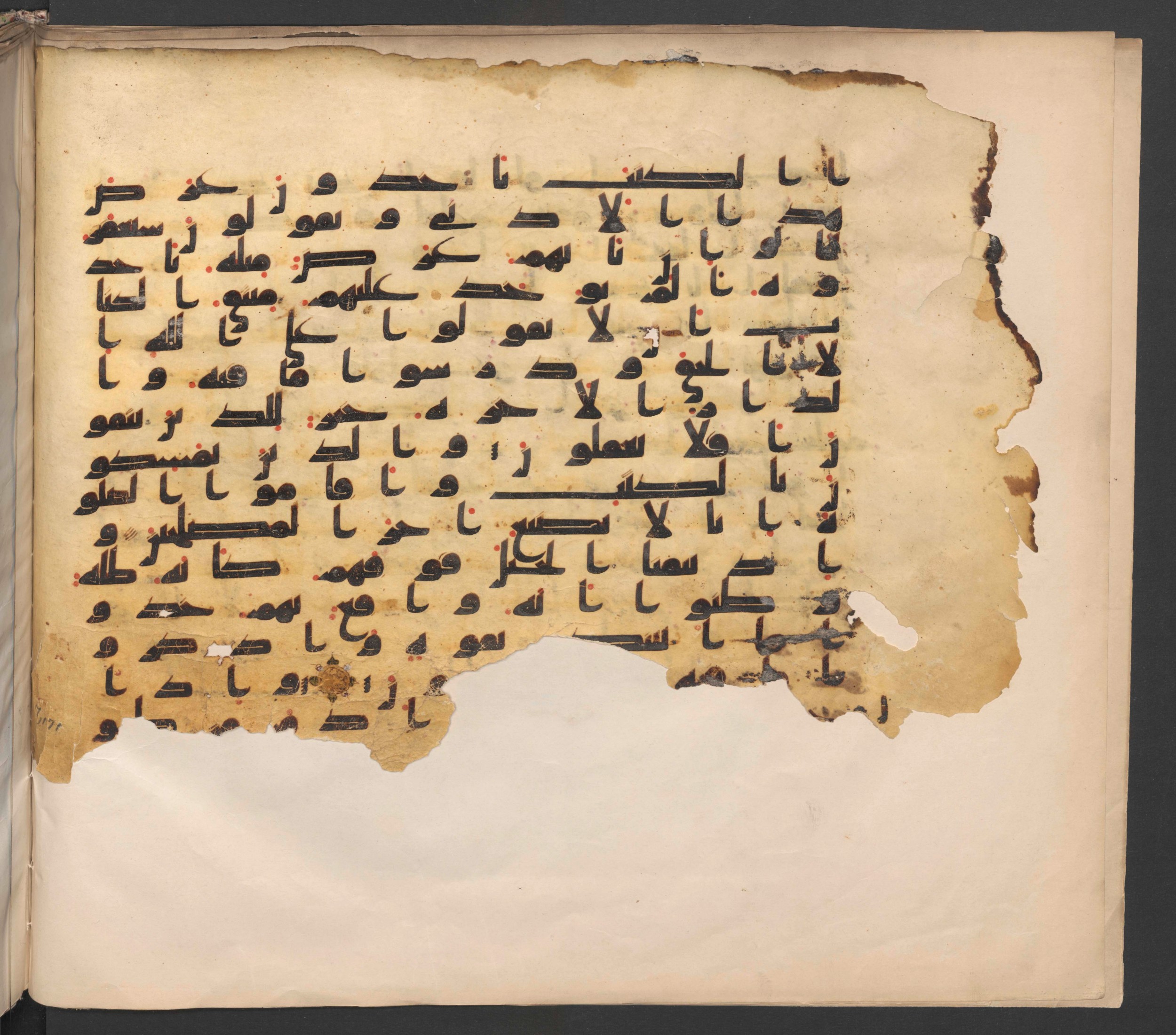 Berlin, Staatsbibliothek zu Berlin, Ms. or. fol. 379 (Ahlwardt 321) (Scan 2), in other (non classified) script, showing Surah 7:172 from 8th to 9th Century AD found in Unknown, currently housed at Staatsbibliothek zu Berlin, Berlin