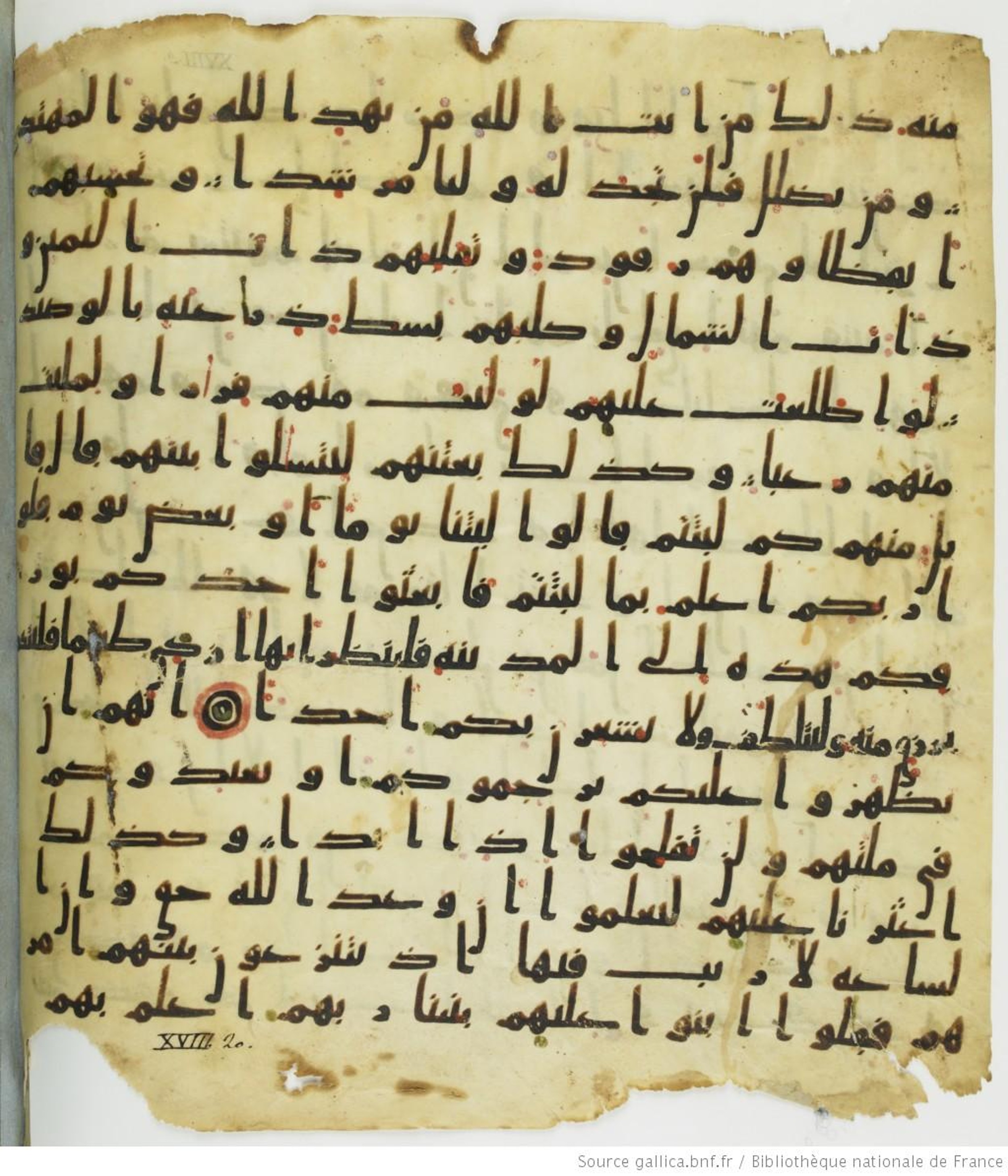 Paris, BnF, Arabe 330 (b) (Scan 2), in kūfī B.Ib script, showing Surah 18:21 from 8th Century AD found in Fustat (Old Cairo), Egypt, currently housed at Bibliothèque nationale de France, Paris