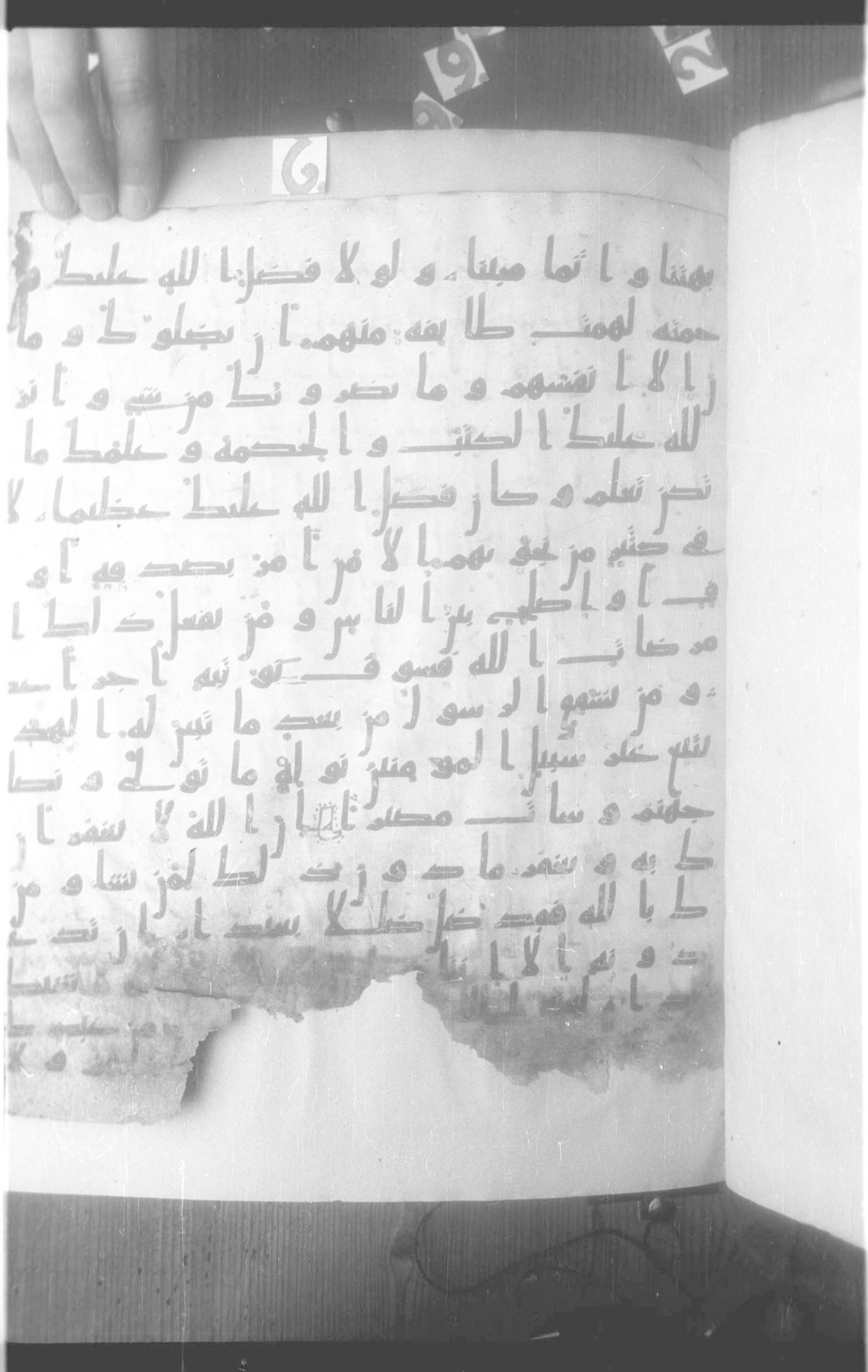 Paris, BnF, Arabe 330 (b) (Scan 1), in kūfī B.Ib script, showing Surah 4:116 from 8th Century AD found in Fustat (Old Cairo), Egypt, currently housed at Bibliothèque nationale de France, Paris
