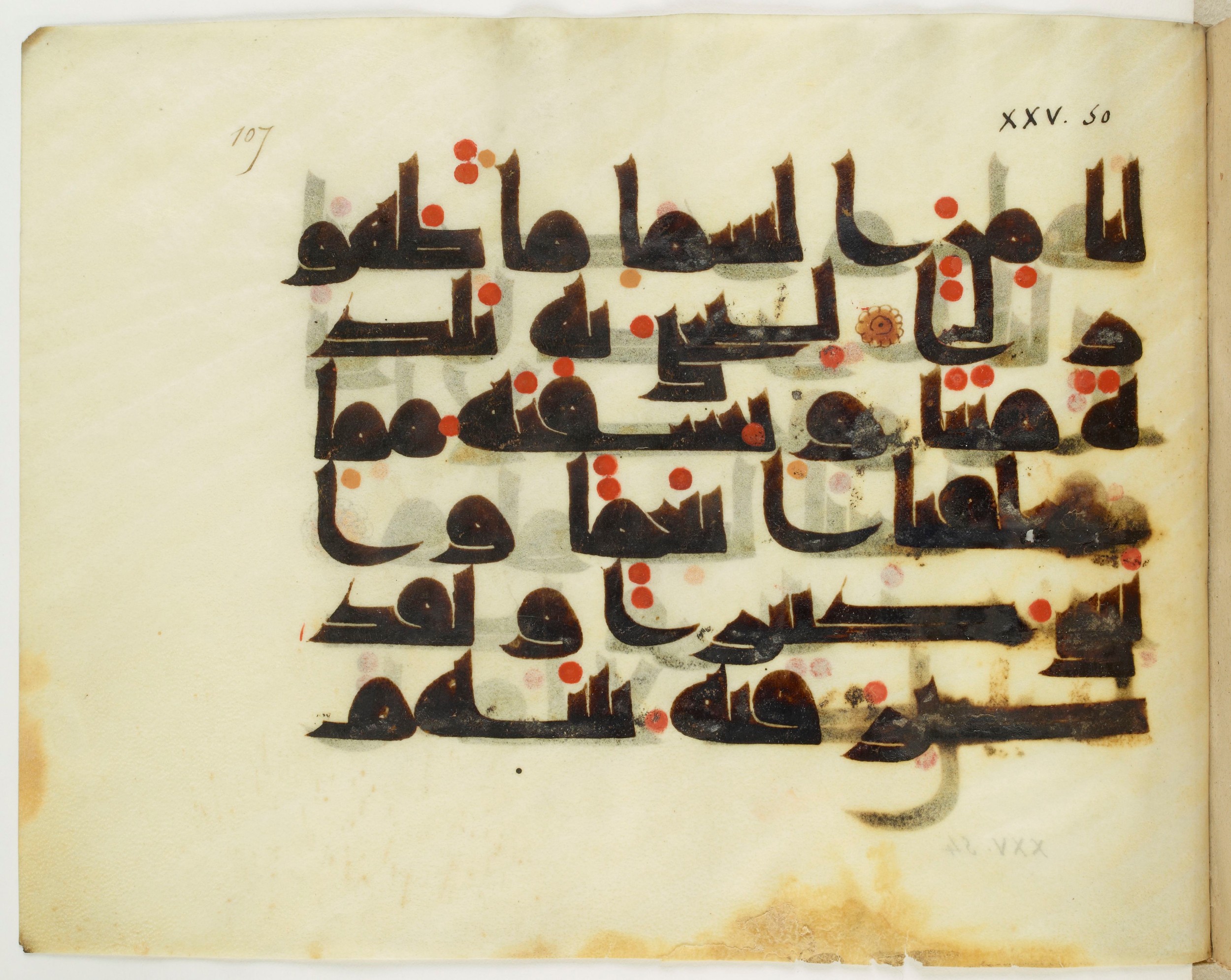 Copenhagen, Det Kongelige Bibliotek, Cod. Arab. 36 (Scan 1), in kūfī D.I script, showing Surah 25:50 from Mid 8th to Late 10th Century AD found in Egypt, currently housed at Det Kongelige Bibliotek (The Royal Library), Copenhagen