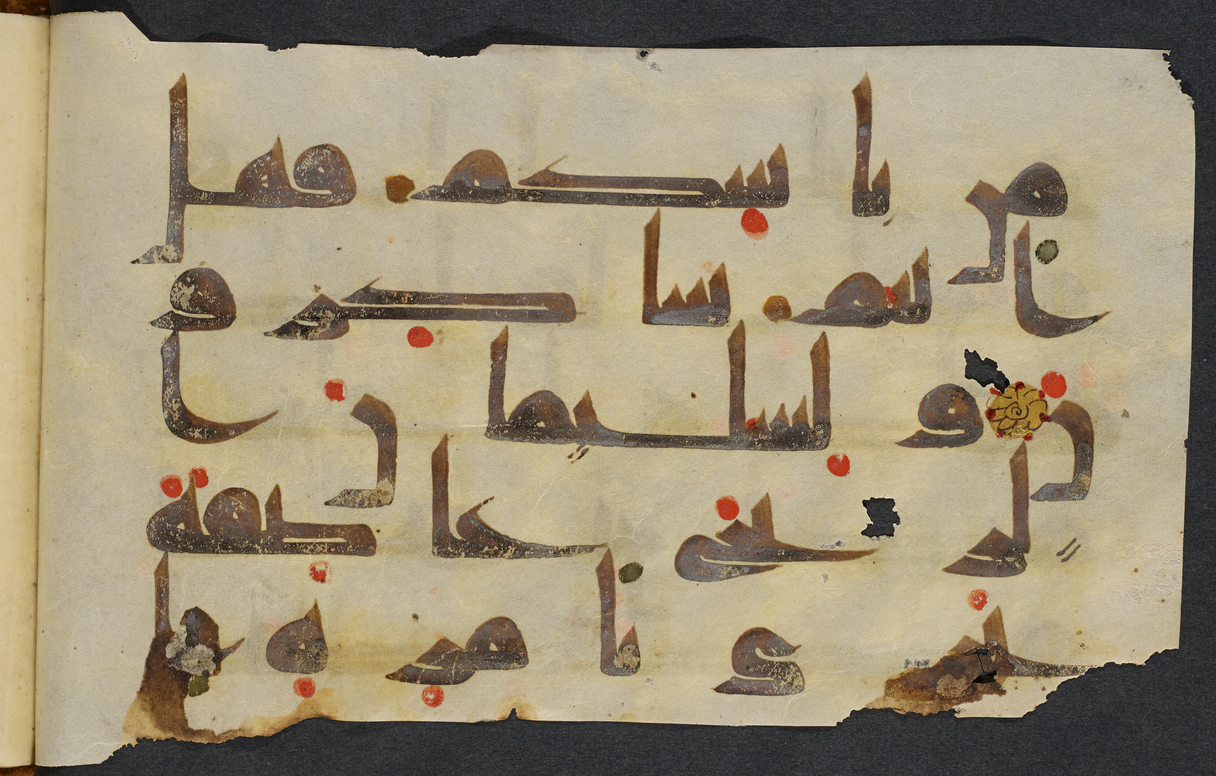 Copenhagen, Det Kongelige Bibliotek, Cod. Arab. 36 (Scan 2), in kūfī D.I script, showing Surah 21:80 from Mid 8th to Late 10th Century AD found in Egypt, currently housed at Det Kongelige Bibliotek (The Royal Library), Copenhagen