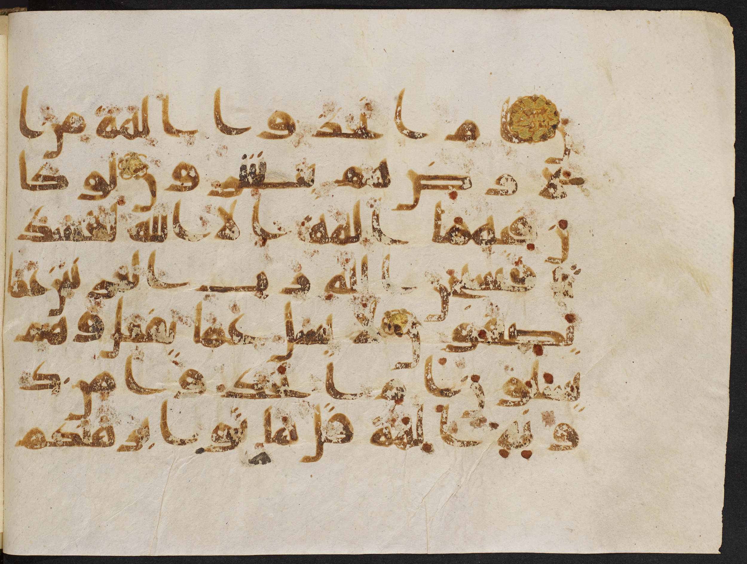 Copenhagen, Det Kongelige Bibliotek, Cod. Arab. 36 (Scan 2), in kūfī D.I script, showing Surah 21:22 from Mid 8th to Late 10th Century AD found in Egypt, currently housed at Det Kongelige Bibliotek (The Royal Library), Copenhagen