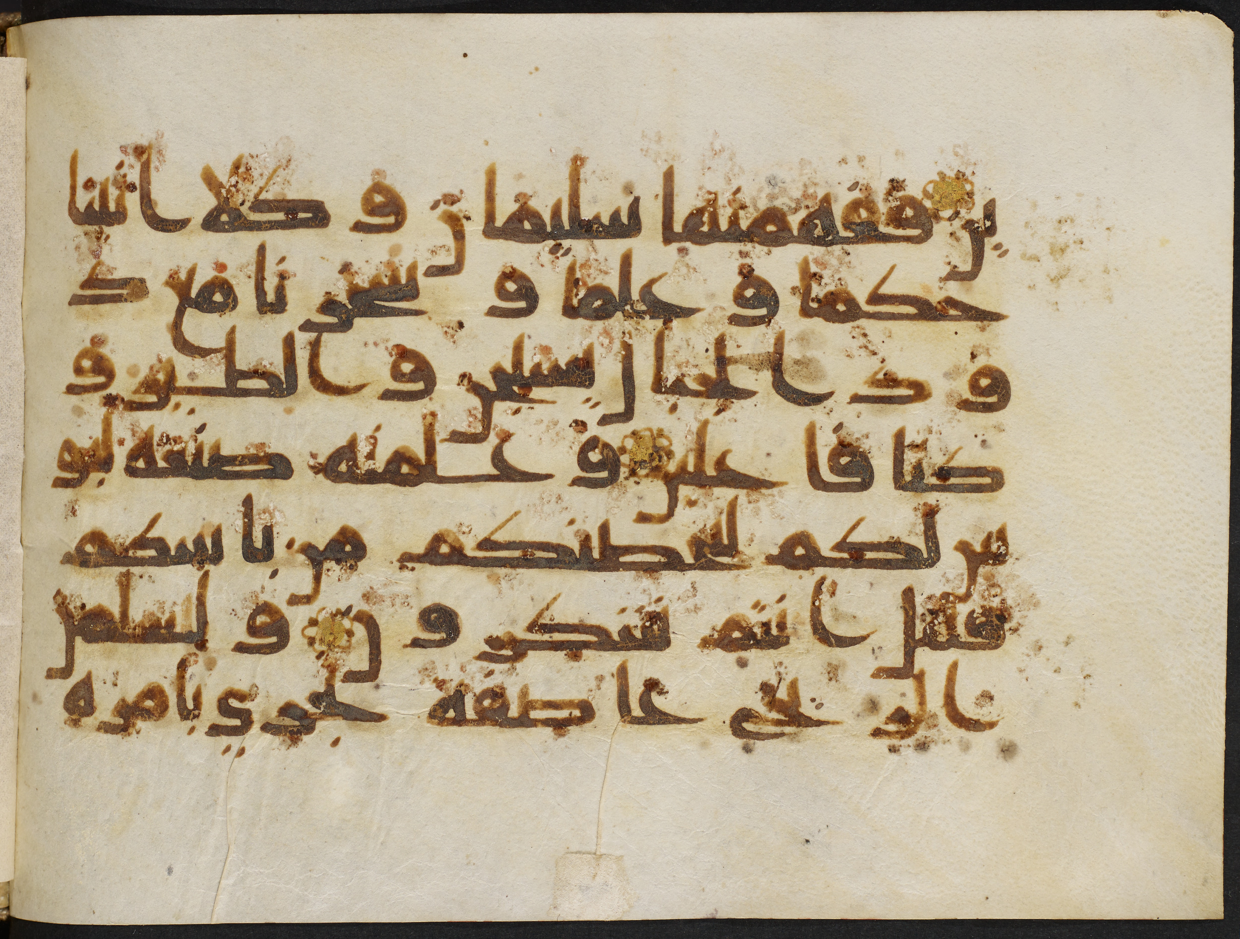 Copenhagen, Det Kongelige Bibliotek, Cod. Arab. 36 (Scan 6), in kūfī D.I script, showing Surah 21:79 from Mid 8th to Late 10th Century AD found in Egypt, currently housed at Det Kongelige Bibliotek (The Royal Library), Copenhagen
