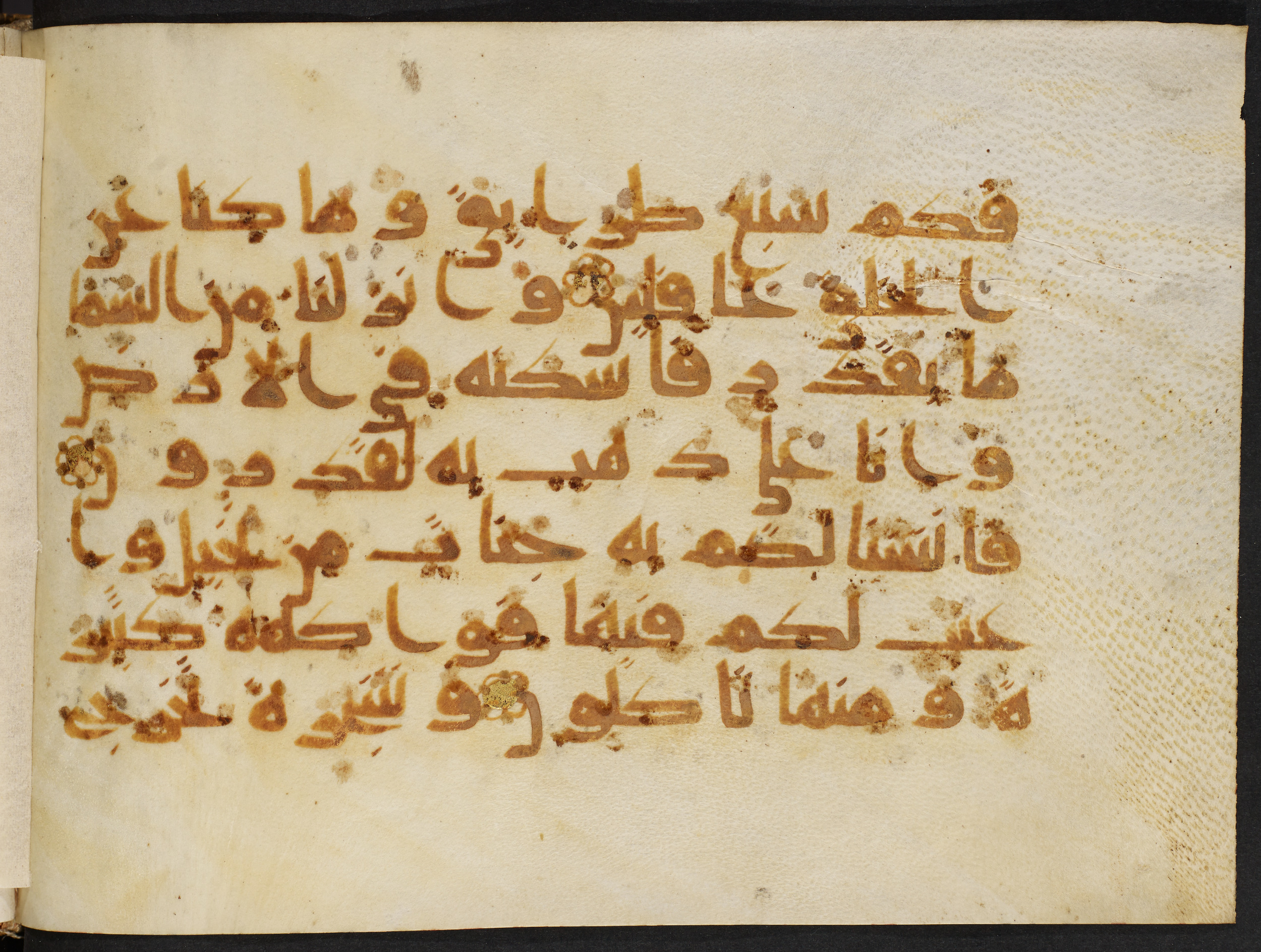 Copenhagen, Det Kongelige Bibliotek, Cod. Arab. 36, in kūfī D.I script, showing Surah 23:19 from Mid 8th to Late 10th Century AD found in Egypt, currently housed at Det Kongelige Bibliotek (The Royal Library), Copenhagen