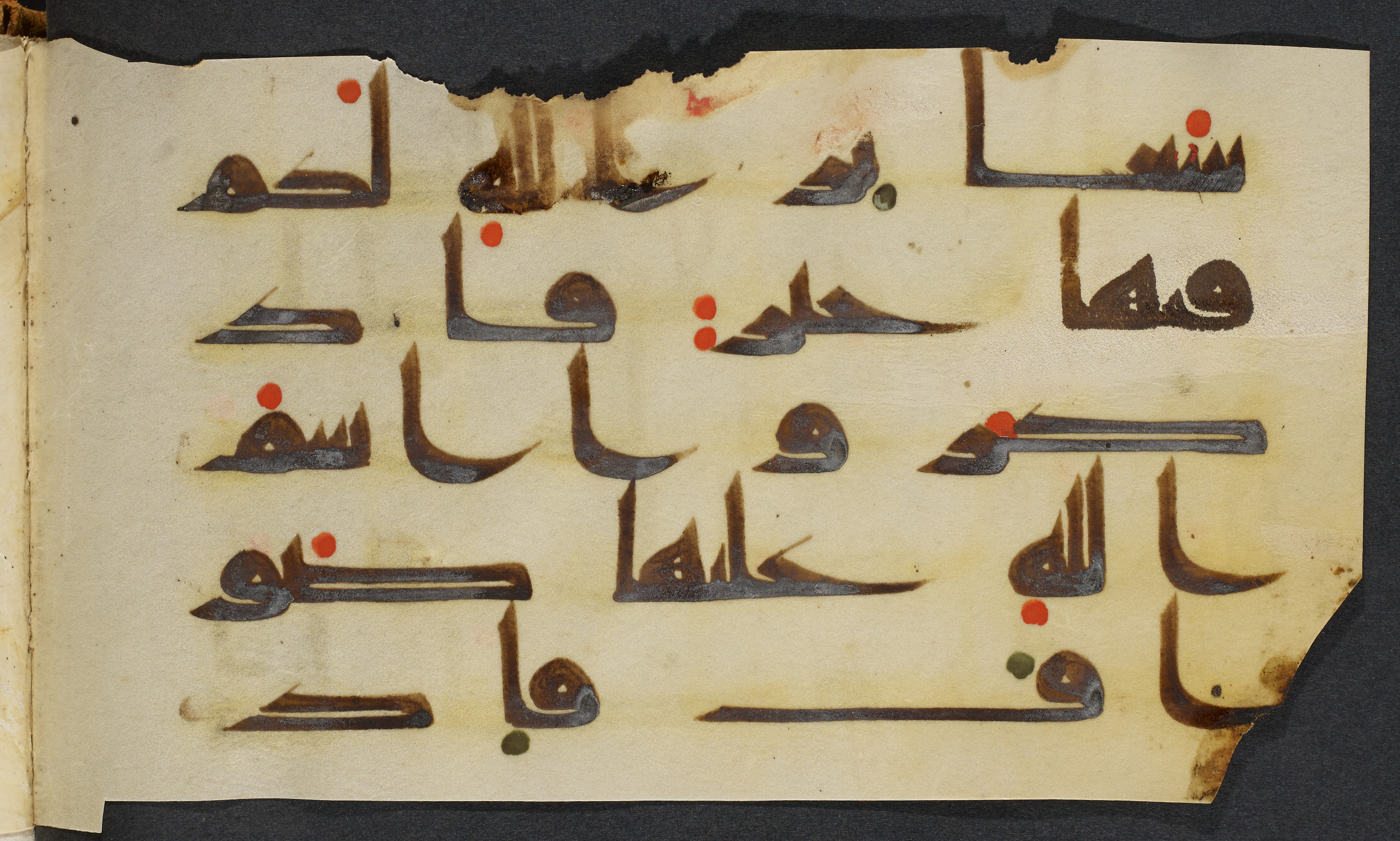 Copenhagen, Det Kongelige Bibliotek, Cod. Arab. 36 (Scan 5), in kūfī D.I script, showing Surah 22:36 from Mid 8th to Late 10th Century AD found in Egypt, currently housed at Det Kongelige Bibliotek (The Royal Library), Copenhagen