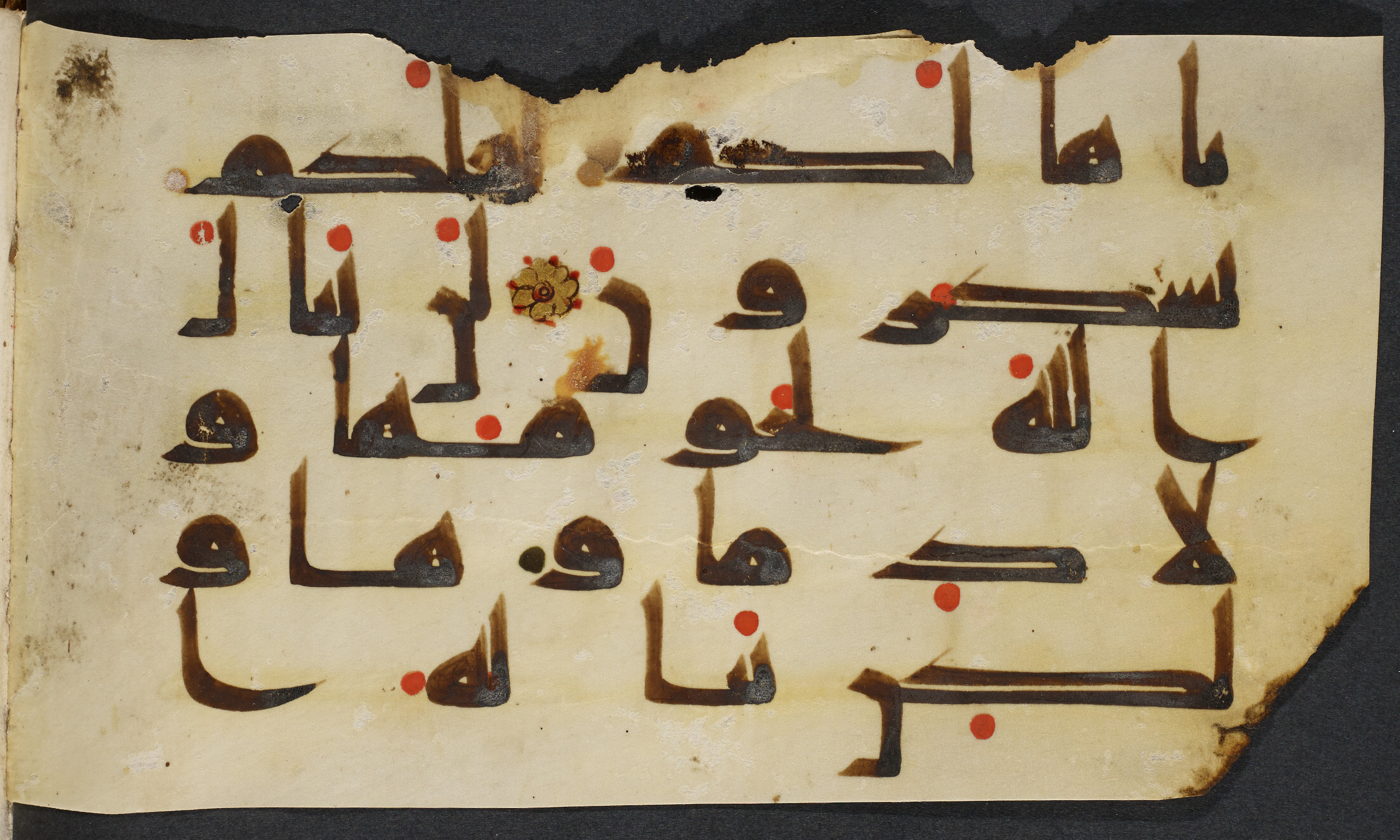 Copenhagen, Det Kongelige Bibliotek, Cod. Arab. 36 (Scan 3), in kūfī D.I script, showing Surah 22:37 from Mid 8th to Late 10th Century AD found in Egypt, currently housed at Det Kongelige Bibliotek (The Royal Library), Copenhagen