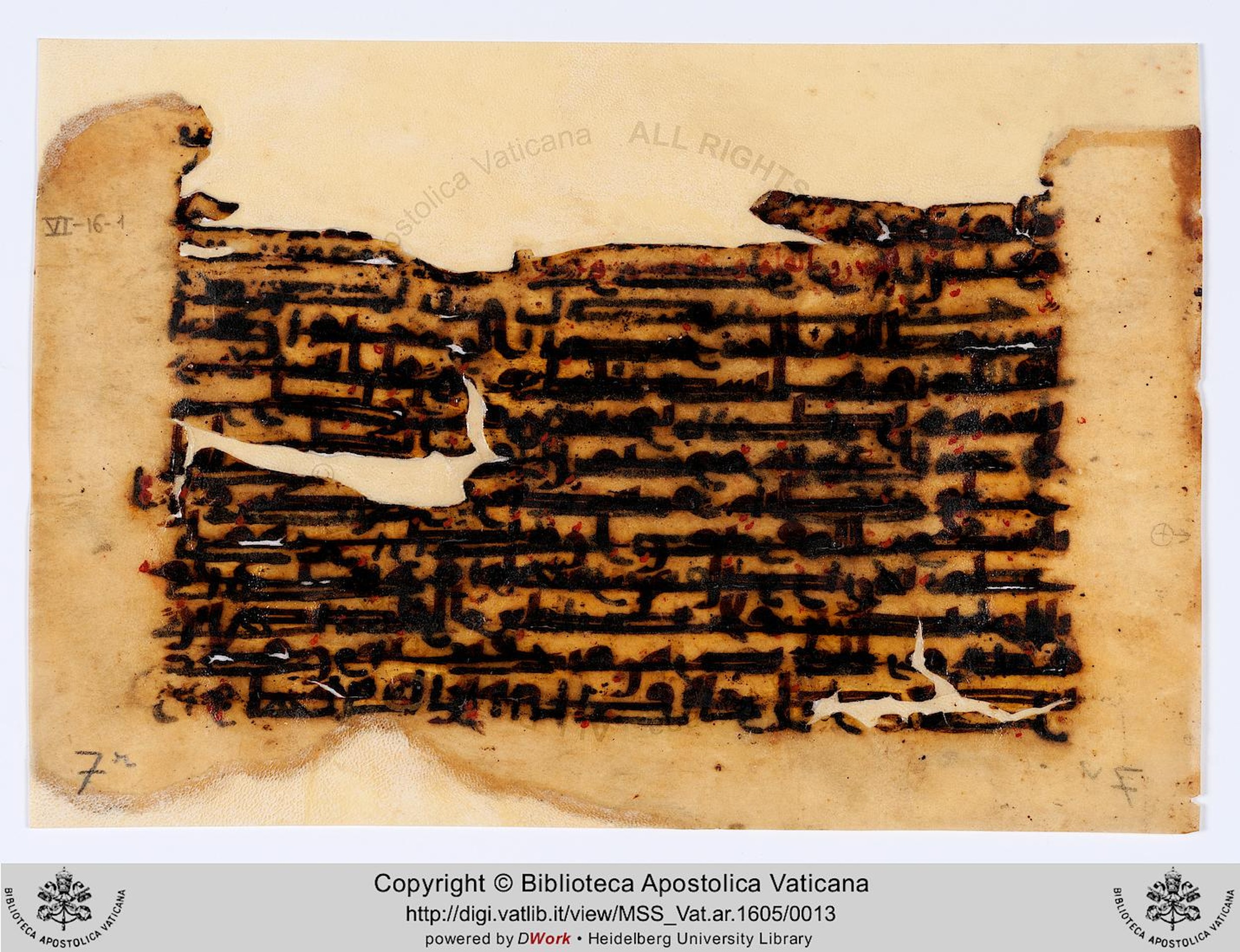 Copenhagen, Det Kongelige Bibliotek, Cod. Arab. 36, in kūfī D.I script, showing Surah 68:2 from Mid 8th to Late 10th Century AD found in Egypt, currently housed at Det Kongelige Bibliotek (The Royal Library), Copenhagen