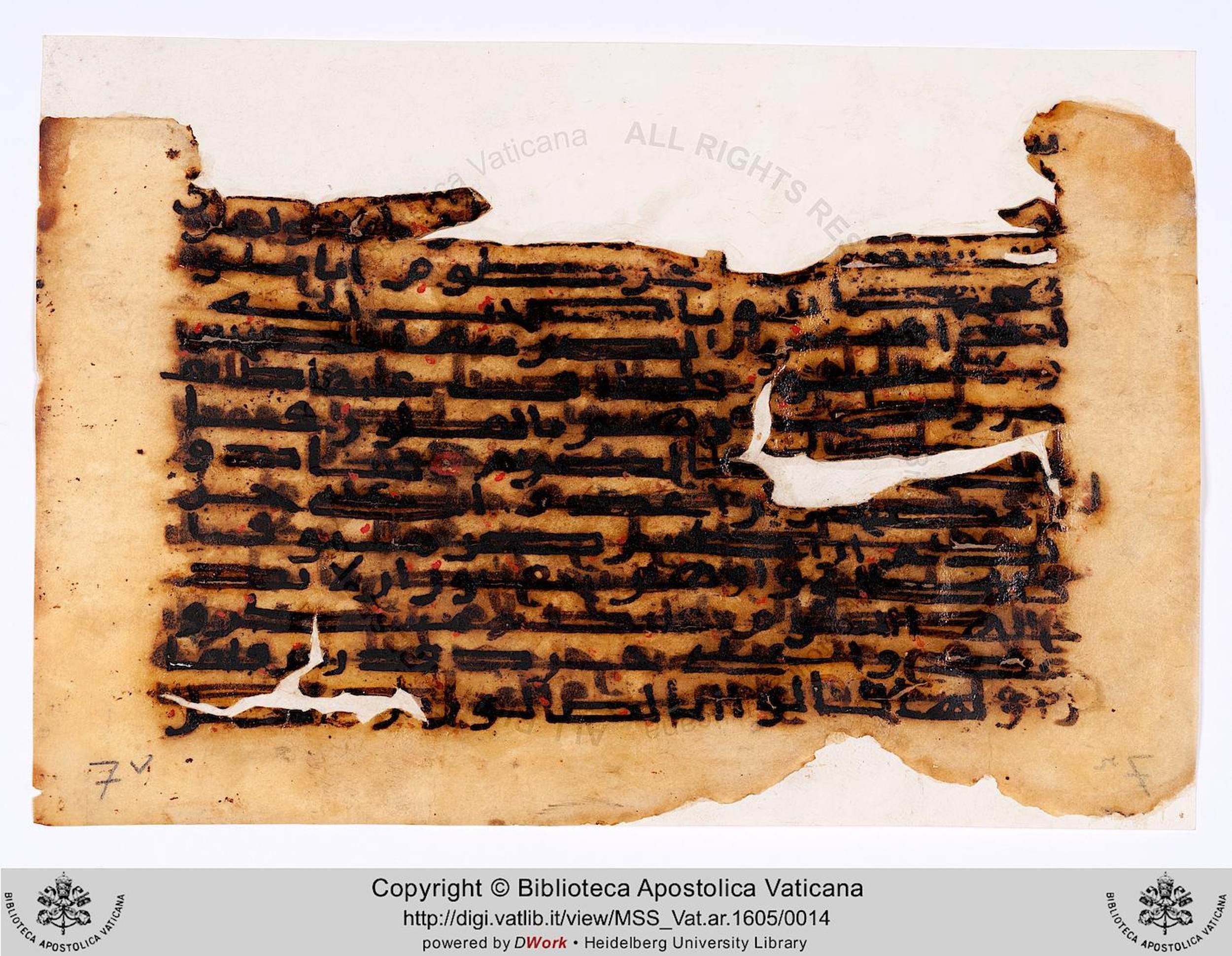 Copenhagen, Det Kongelige Bibliotek, Cod. Arab. 36, in kūfī D.I script, showing Surah 68:16 from Mid 8th to Late 10th Century AD found in Egypt, currently housed at Det Kongelige Bibliotek (The Royal Library), Copenhagen