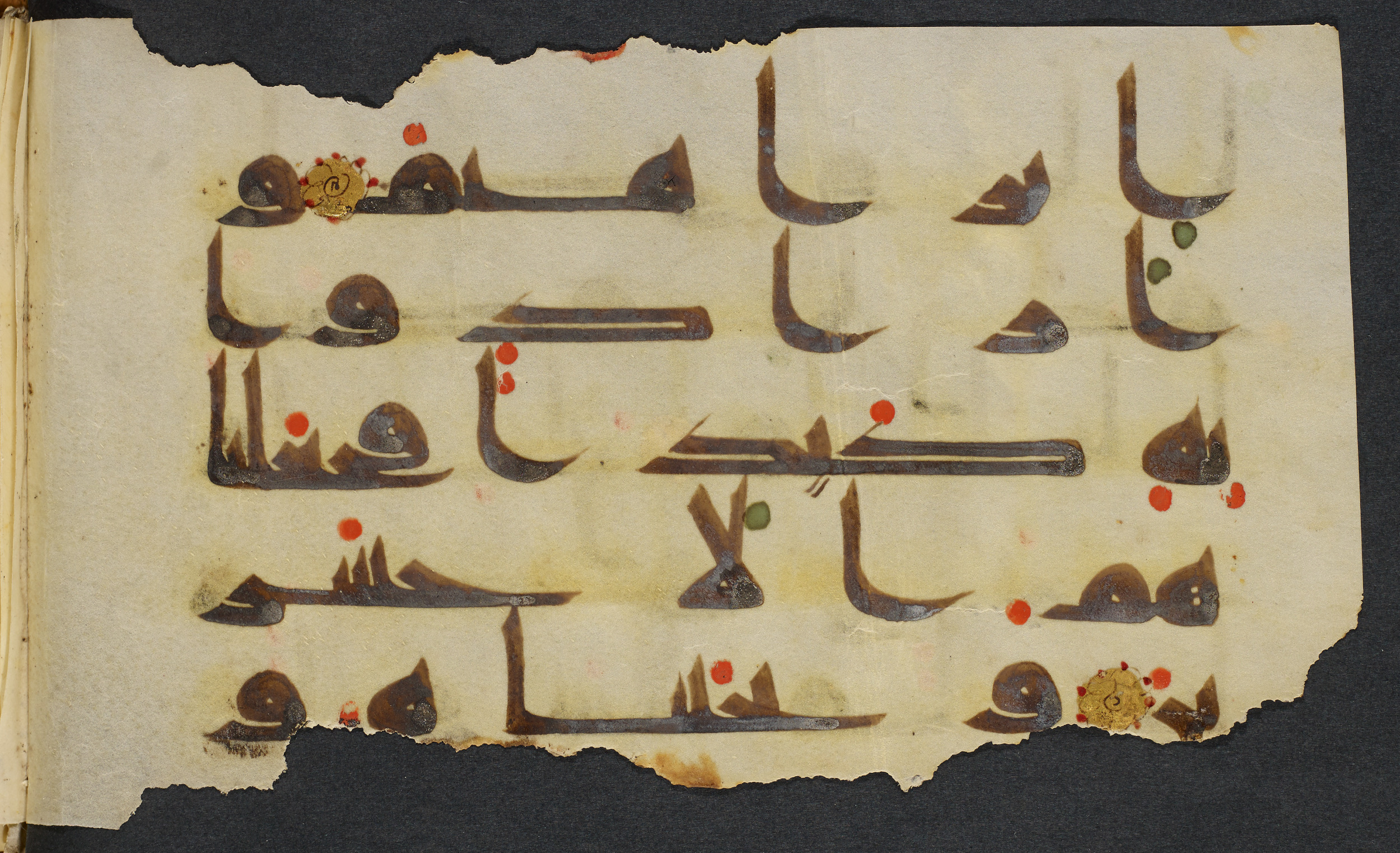 Copenhagen, Det Kongelige Bibliotek, Cod. Arab. 36 (Scan 4), in kūfī D.I script, showing Surah 21:69 from Mid 8th to Late 10th Century AD found in Egypt, currently housed at Det Kongelige Bibliotek (The Royal Library), Copenhagen